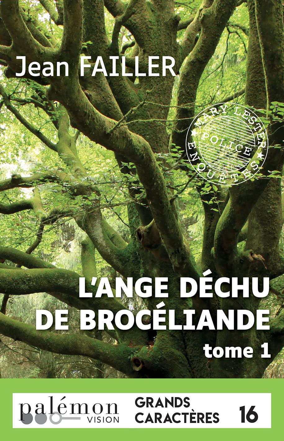 L'ange déchu de Brocéliande - T1 (Grands caractères): Tome 1 Contemporary literature