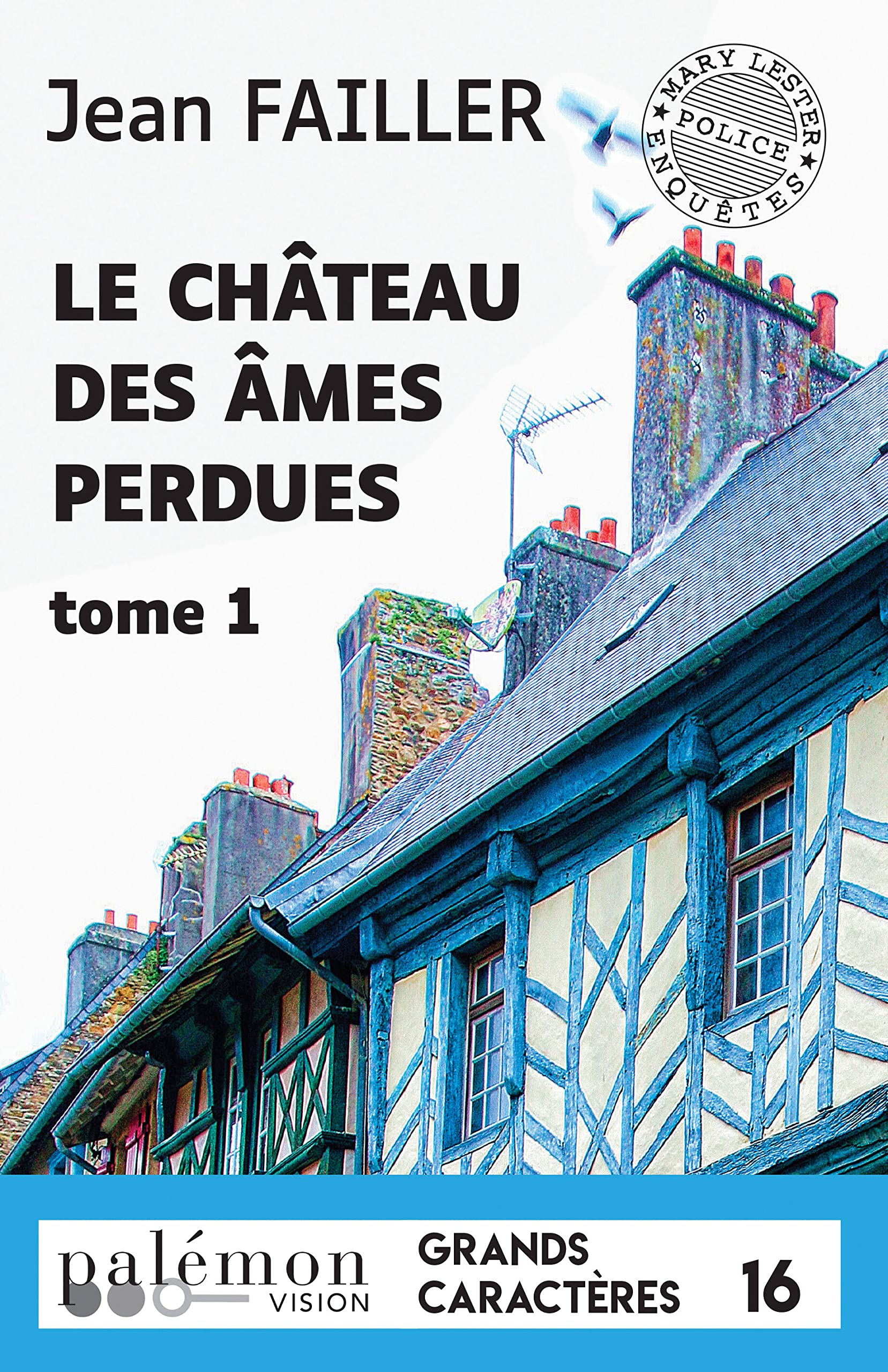 Le château des âmes perdues - T1 (Grands Caractères): Tome 1 Books