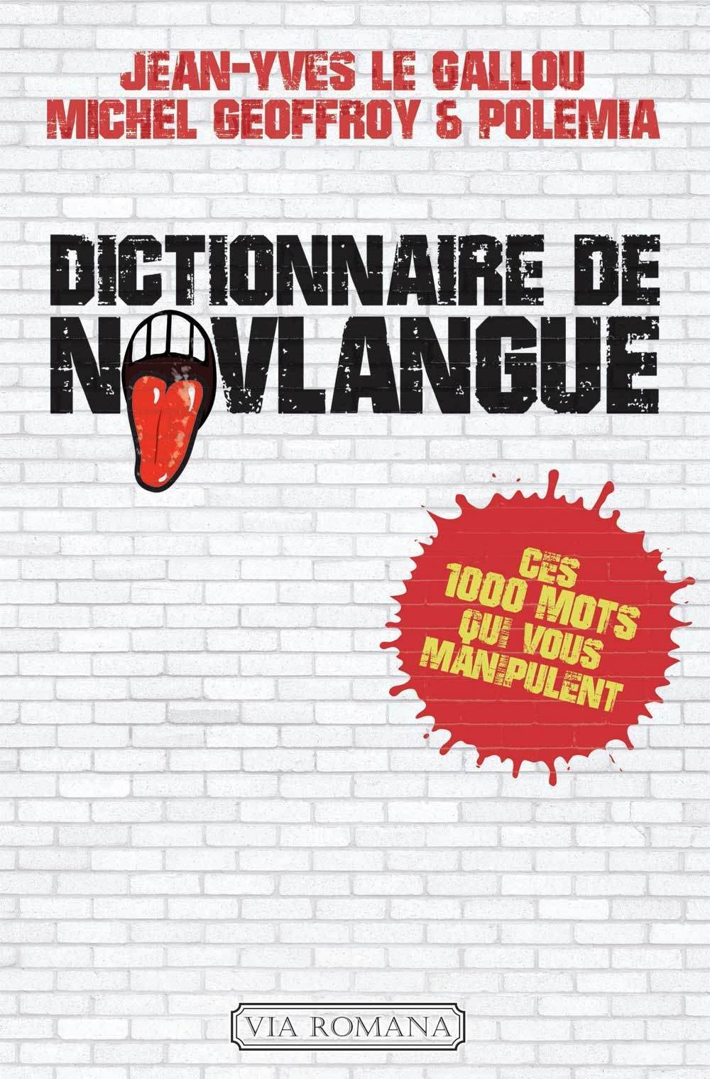 Dictionnaire de novlangue: Ces 1000 mots qui vous manipulent Media & Communication