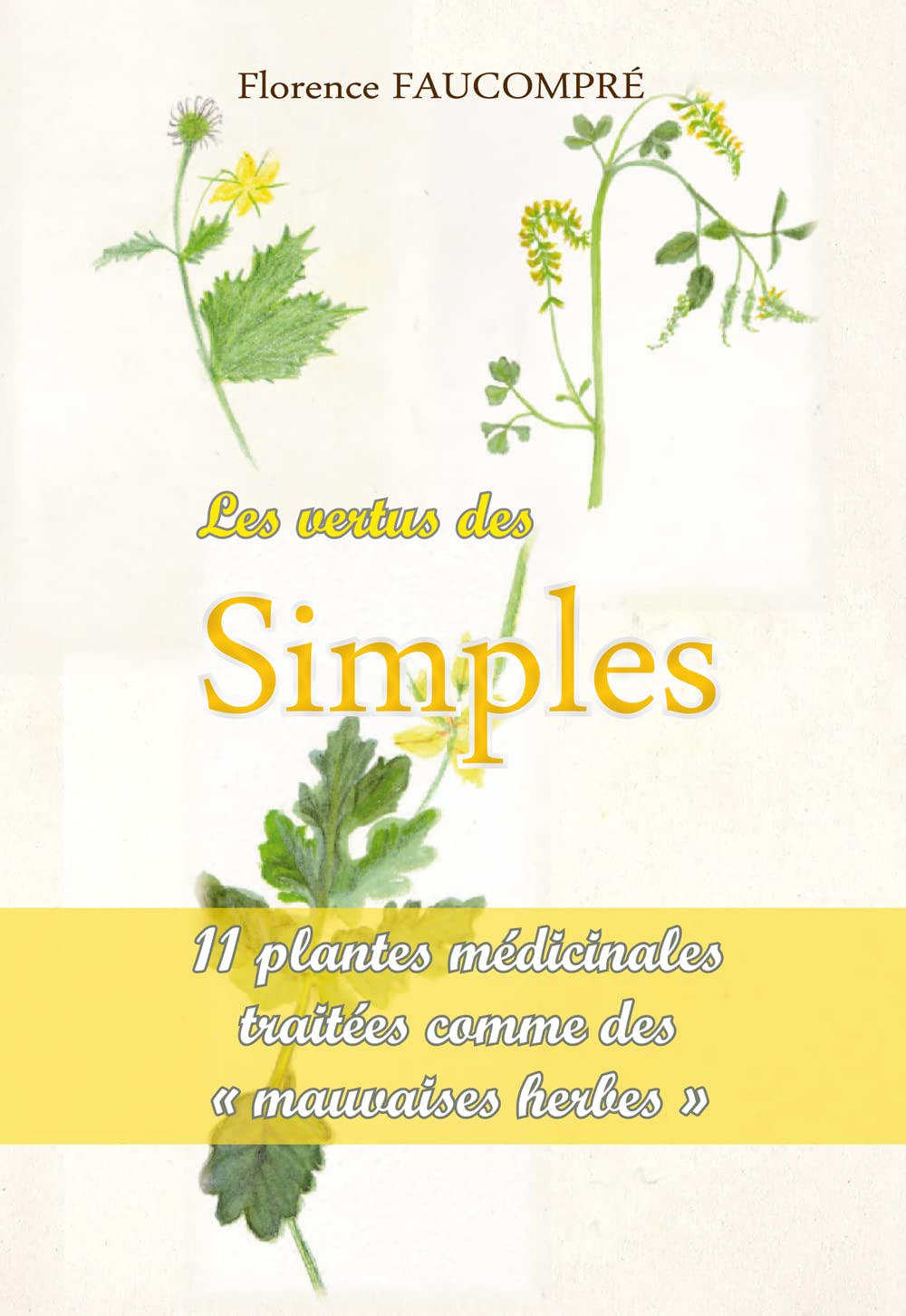 Les vertus des simples : 11 plantes médicinales traitées comme de mauvaises herbes Health, Nutrition & Fitness