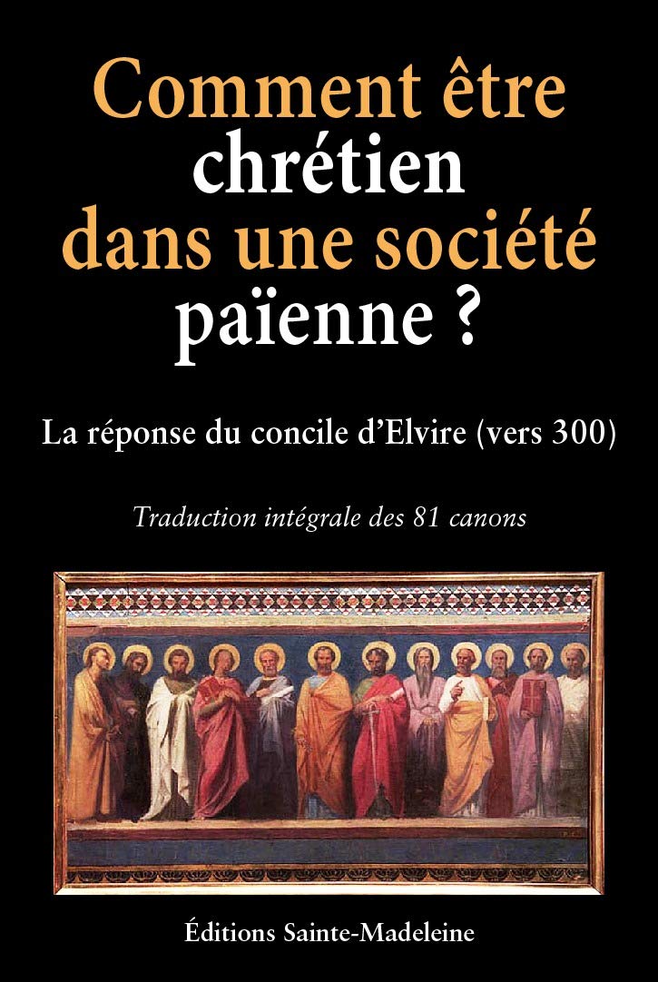 Comment être chrétien dans une société païenne ? - La réponse du Concile d'Elvire (vers 300) - Traduction intégrale des 81 canons book