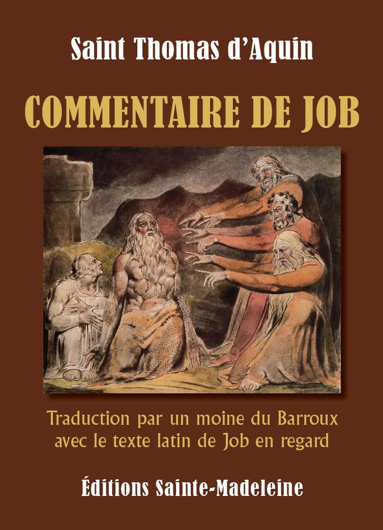 Commentaire de Job: Traduction par un moine du Barroux avec le texte latin de Job en regard book