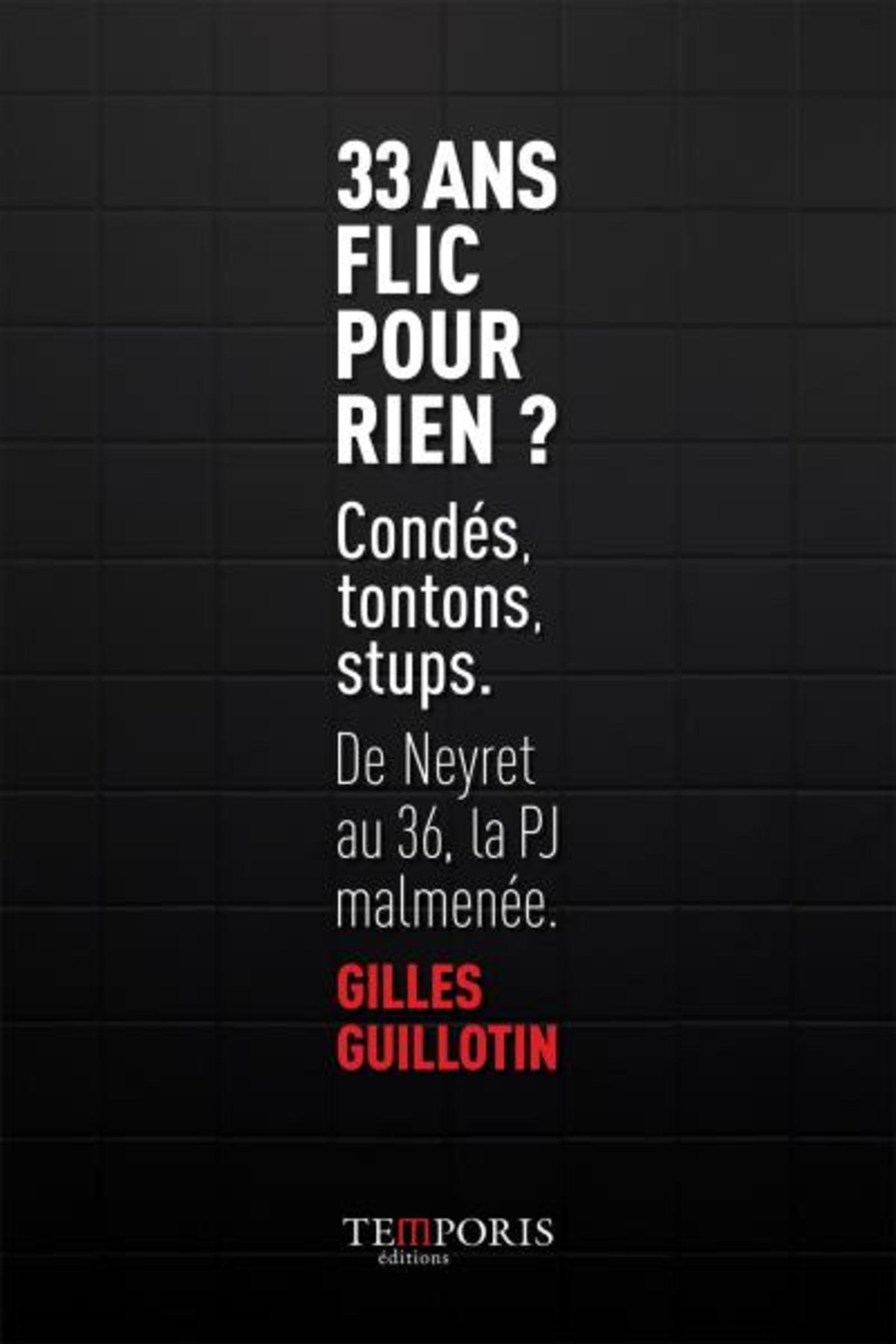 33 ans flic pour rien ?: De Neyret au 36, la PJ malmenée. book