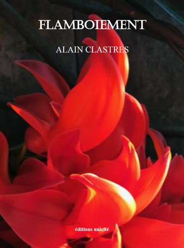 Flamboiement book