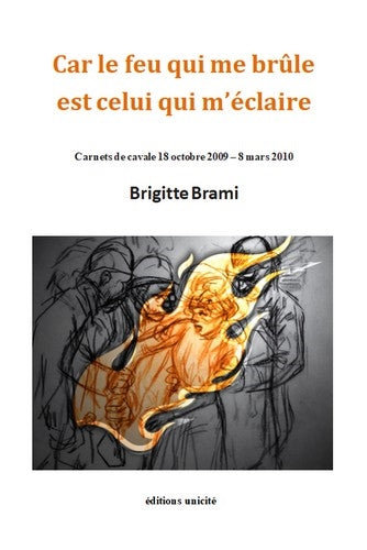 Car le feu qui me brûle est celui qui m'éclaire : carnets de cavale 18 octobre 2009-8 mars 2010 book