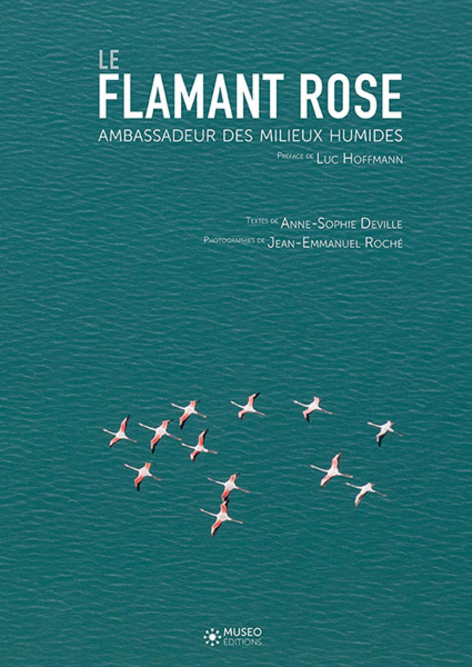 Le flamant rose, ambassadeur des milieux humides Film, Art & Culture