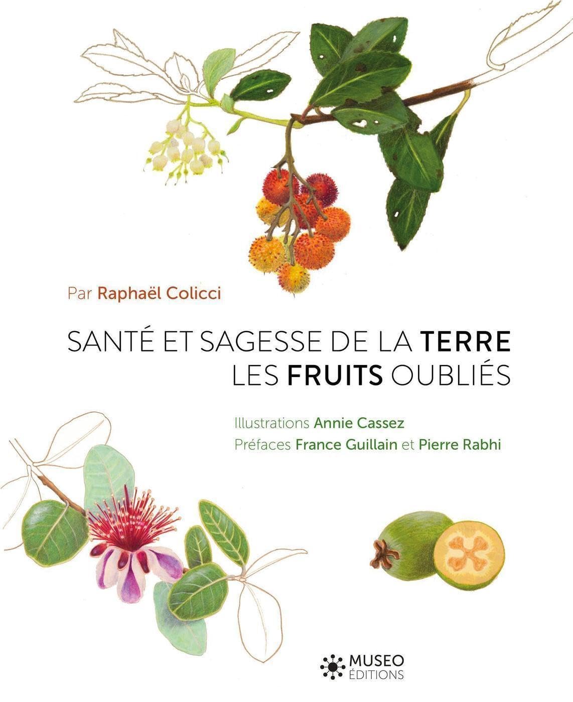 Santé et sagesse de la terre: Les fruits oubliés book
