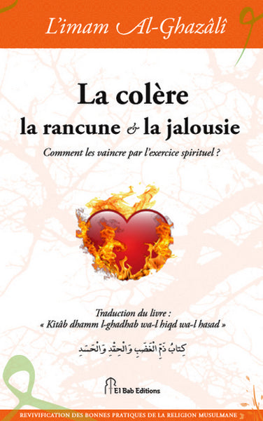 La colère, la rancune et la jalousie : comment les vaincre par les exercices spirituels Books