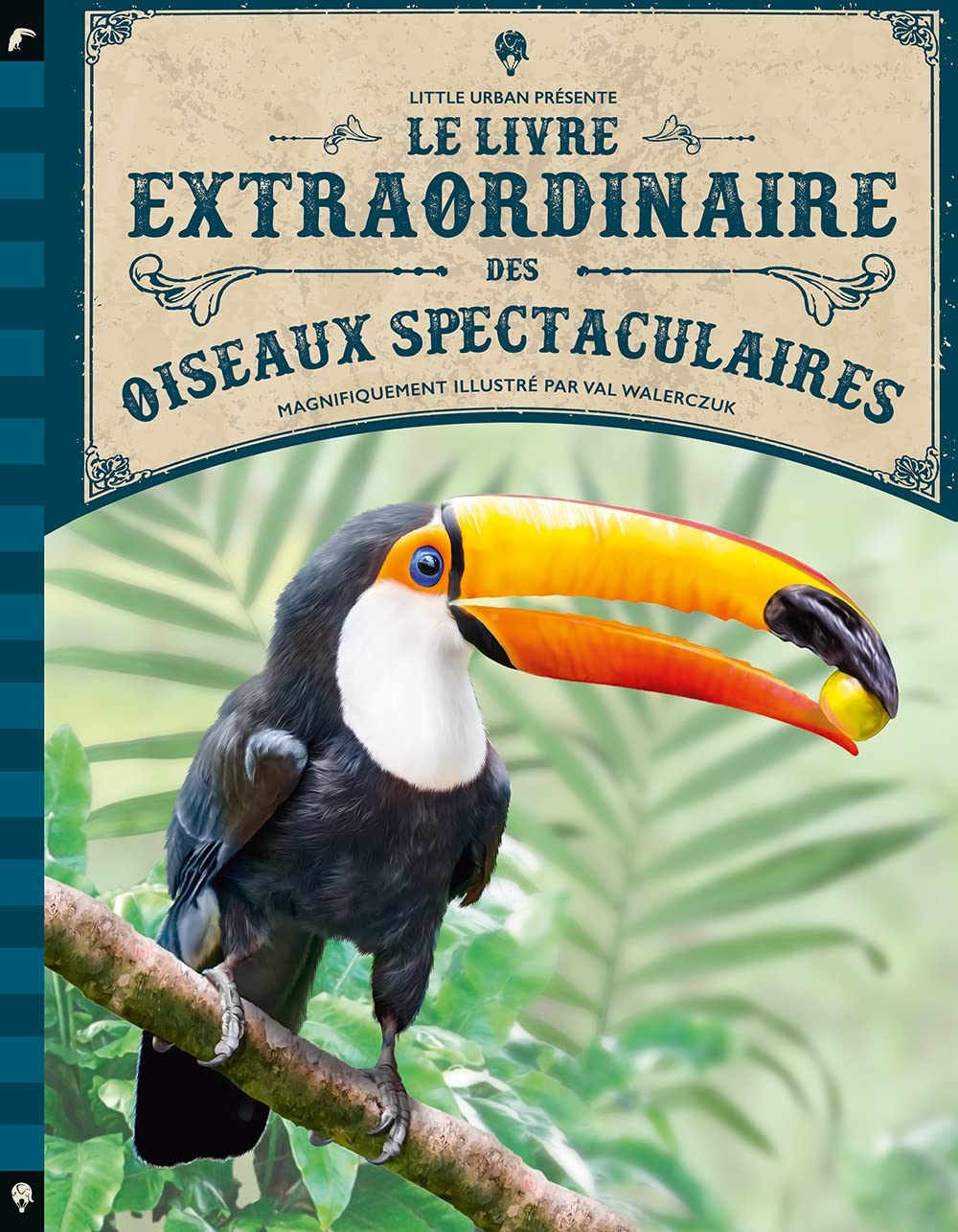 Le Livre extraordinaire des oiseaux spectaculaires Non-fiction