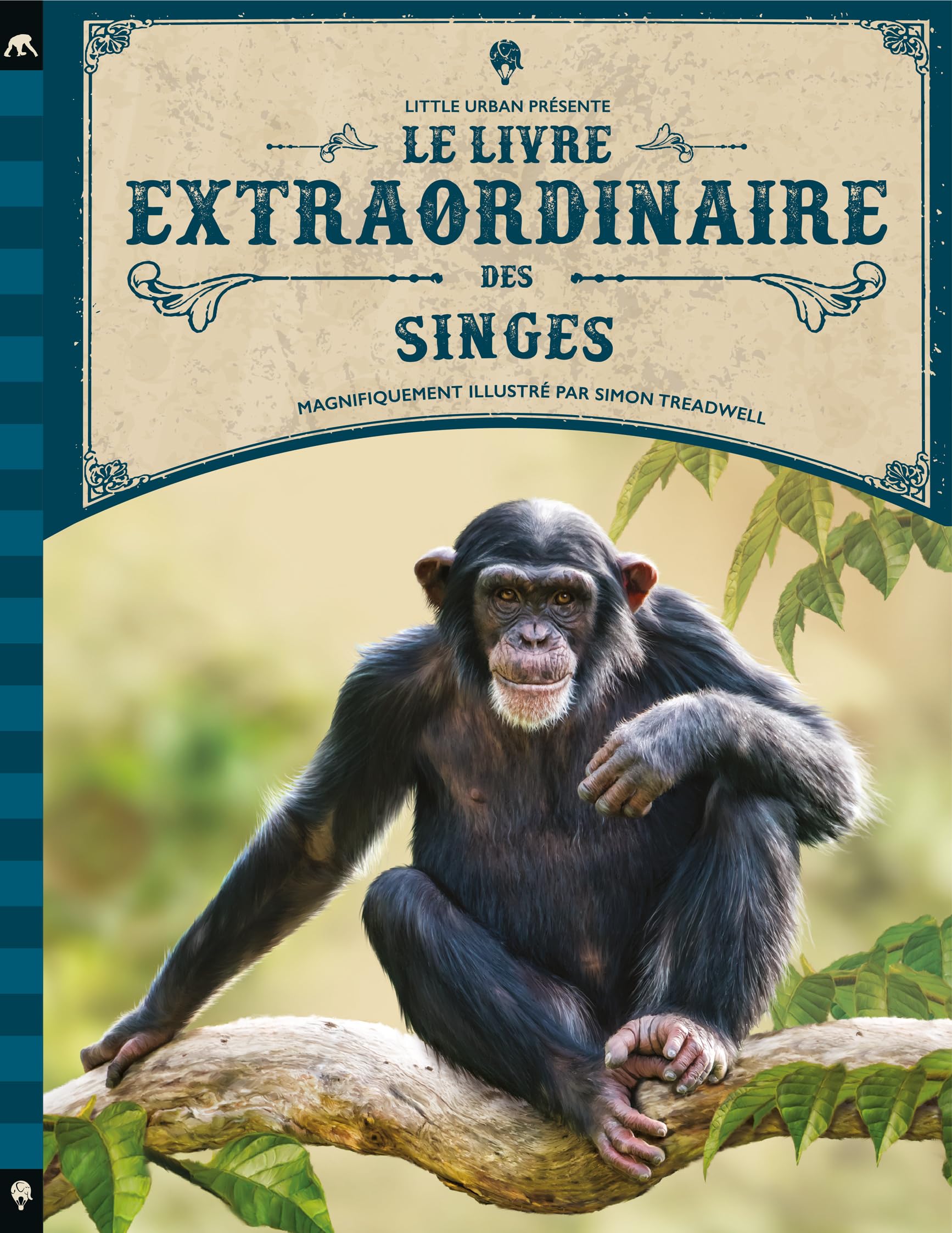 Le Livre extraordinaire des singes Non-fiction