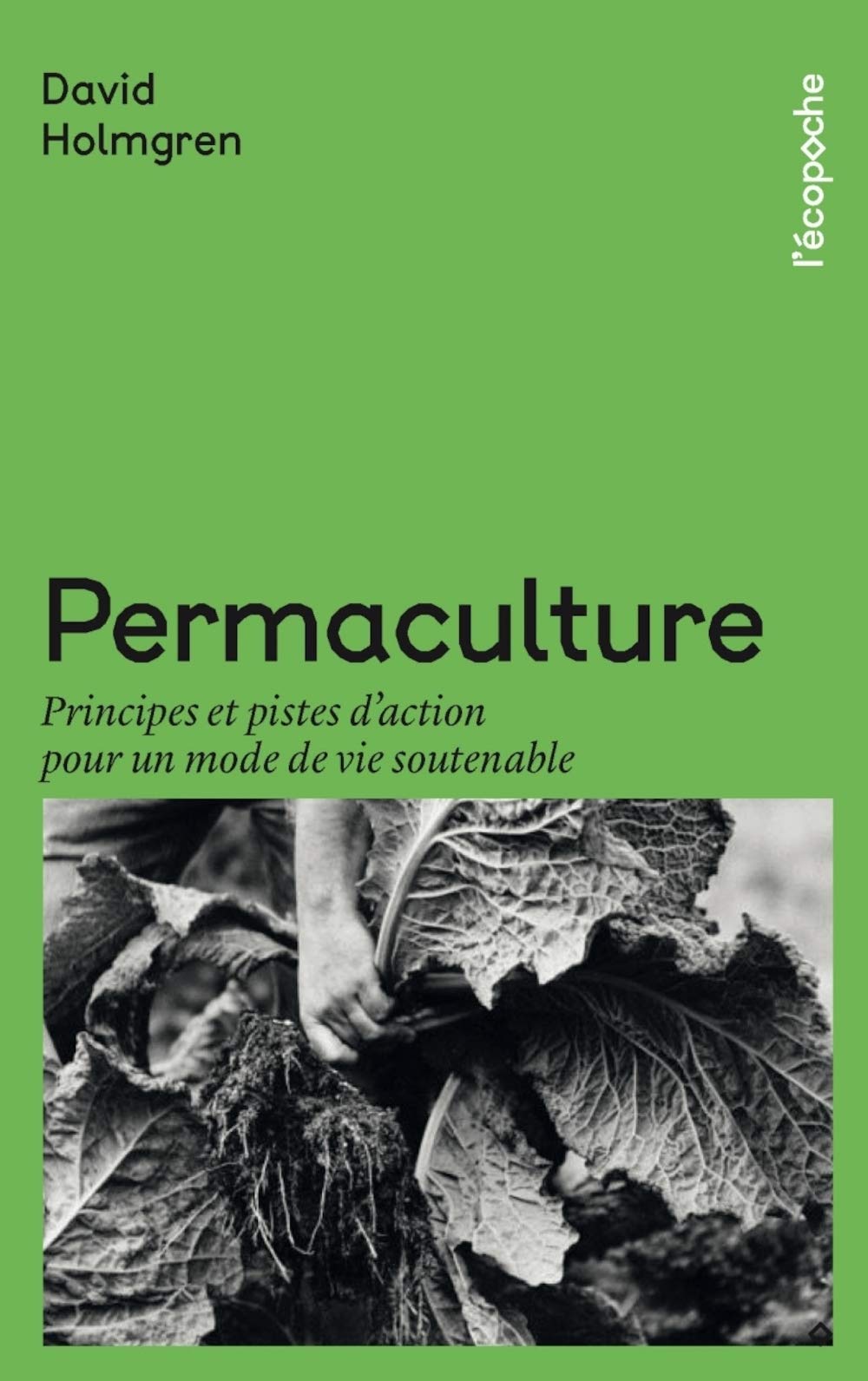 Permaculture: Principes et pistes d'action pour un mode de vie soutenable book