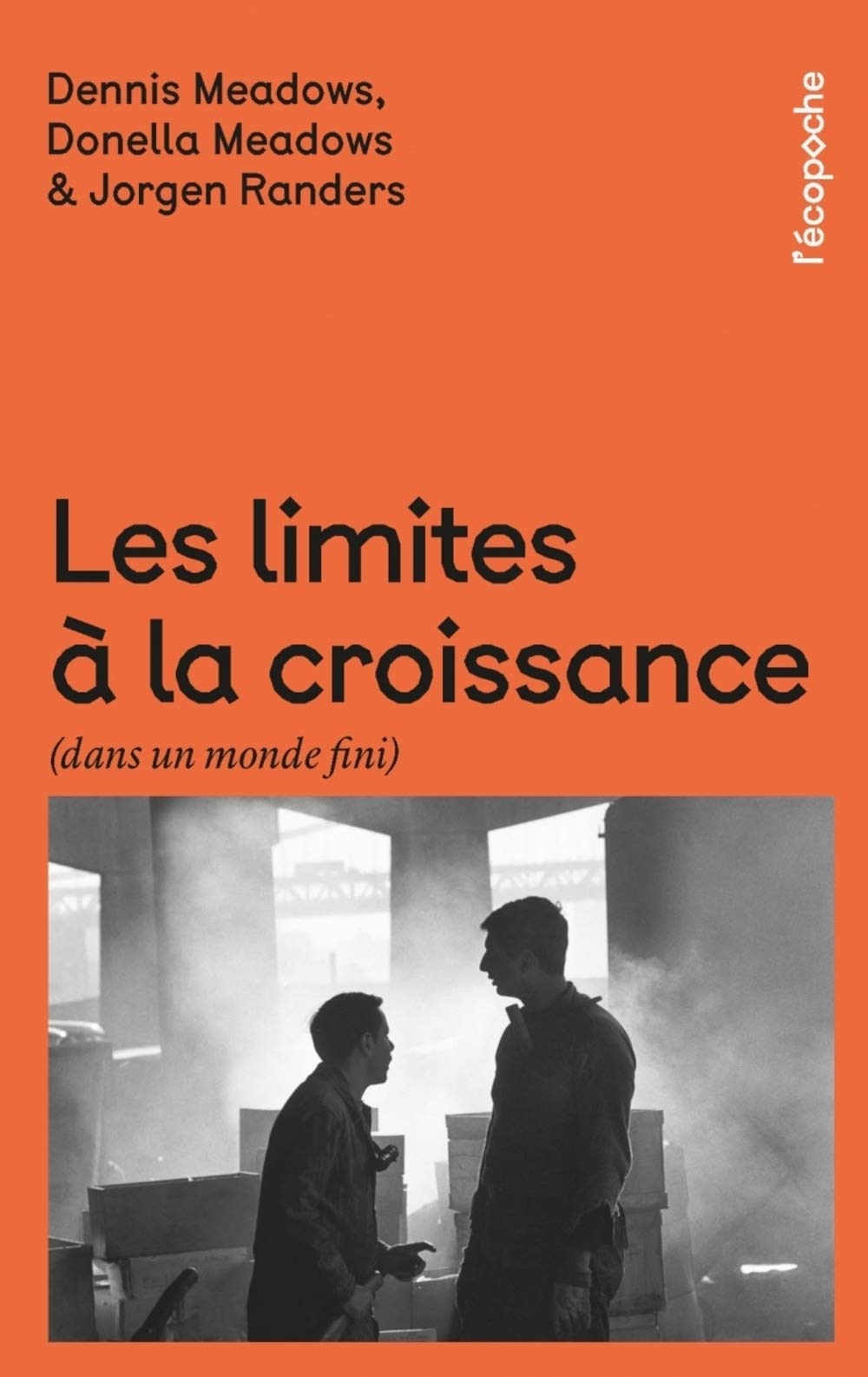 Les limites à la croissance (dans un monde fini): Le rapport Meadows, 30 ans après book