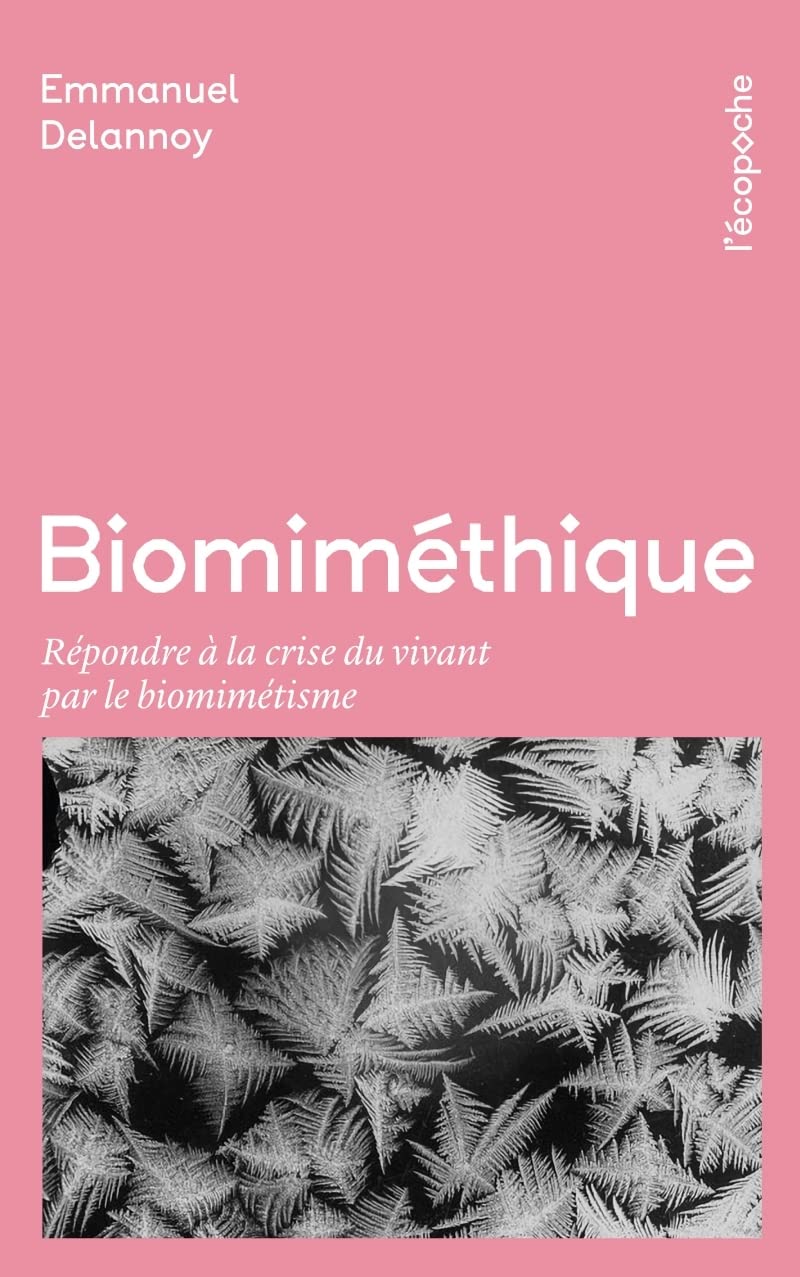 Biomiméthique - Répondre à la crise du vivant pour le biomim: Répondre à la crise du vivant par le biomimétisme Social Sciences