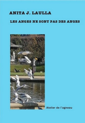 Les anges ne sont pas des anges Books