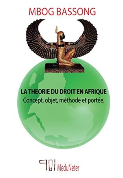 La théorie du droit en Afrique: Concept, objet, méthode et portée book