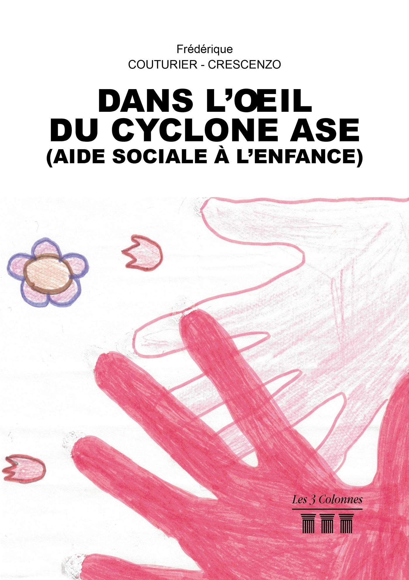 Dans l'oeil du cyclone ASE (Aide Sociale à l'Enfance) book