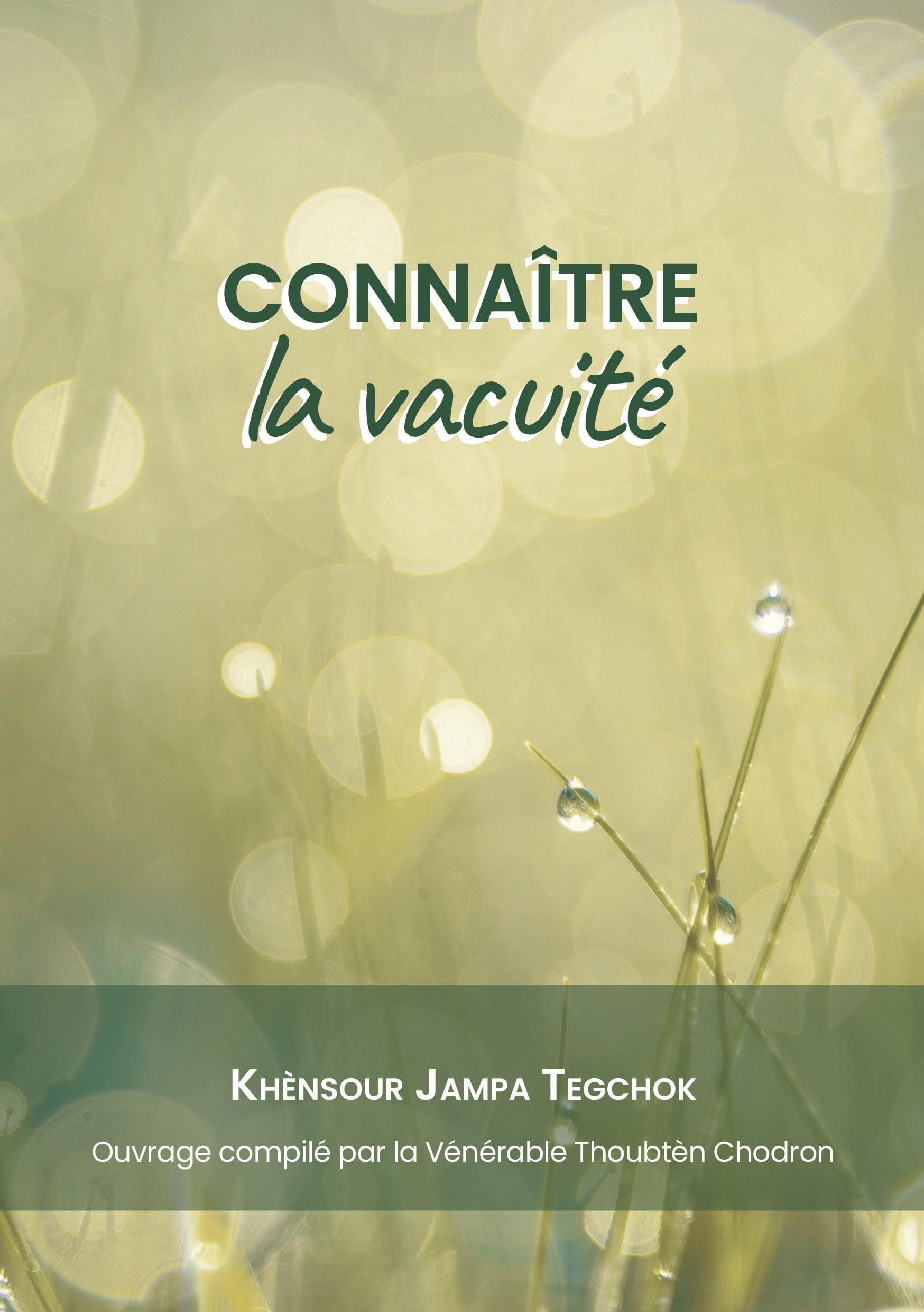 Connaître la vacuité Religion & Esotericism