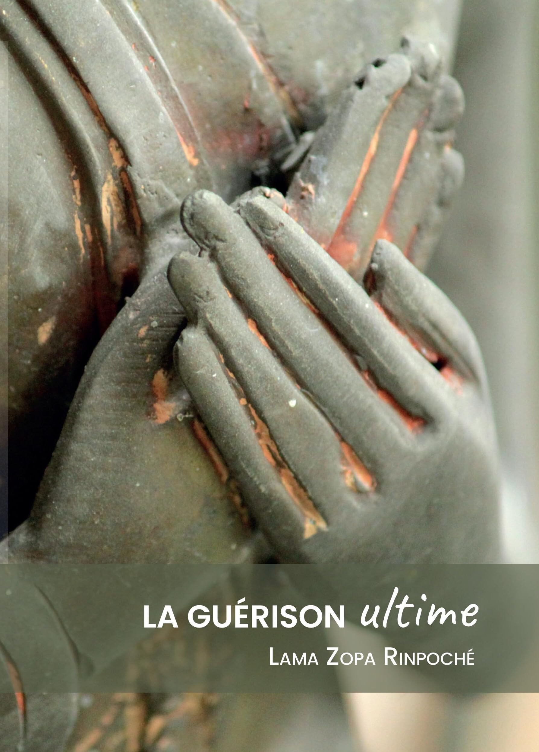 La Guérison Ultime book