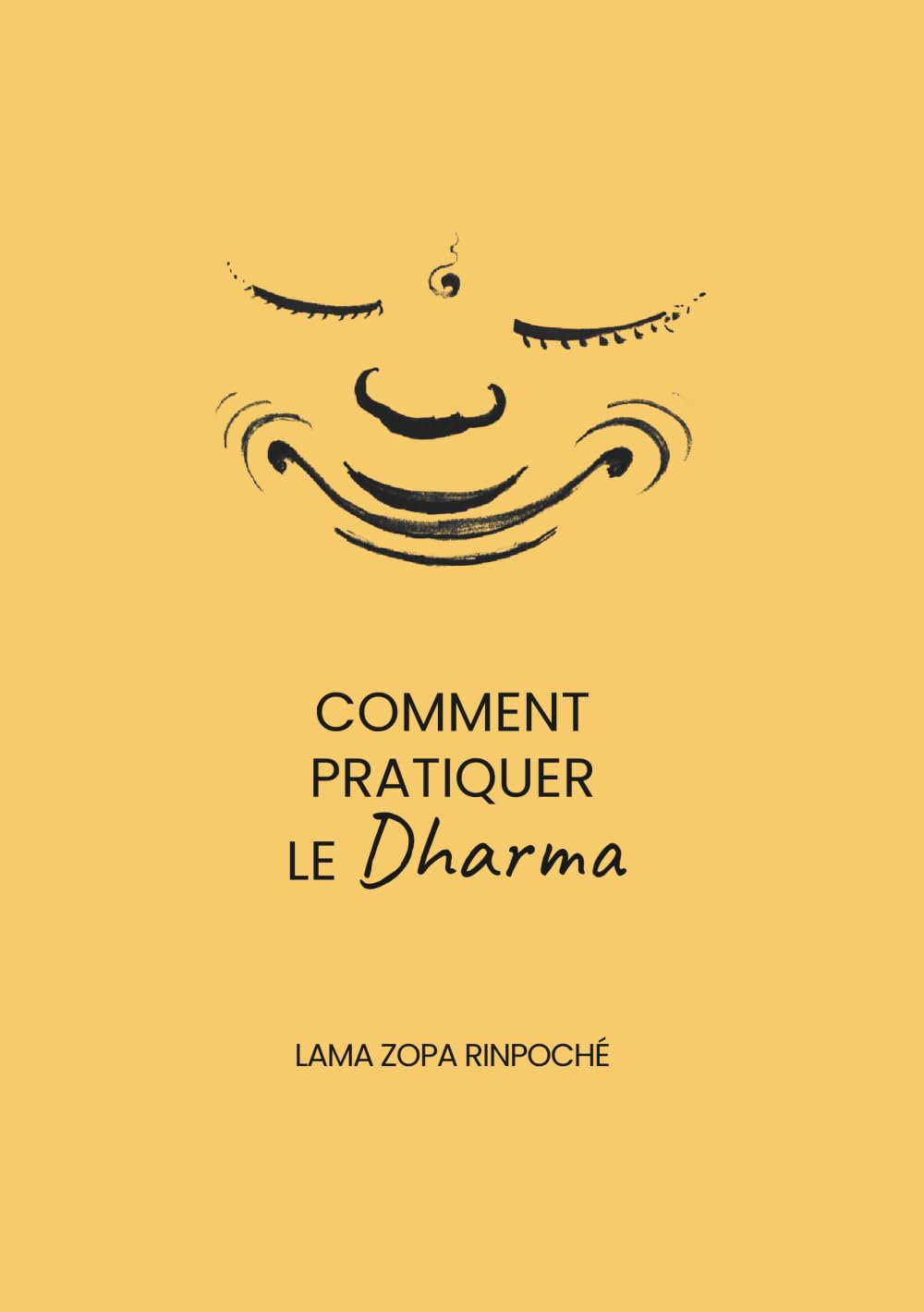 Comment pratiquer le Dharma book