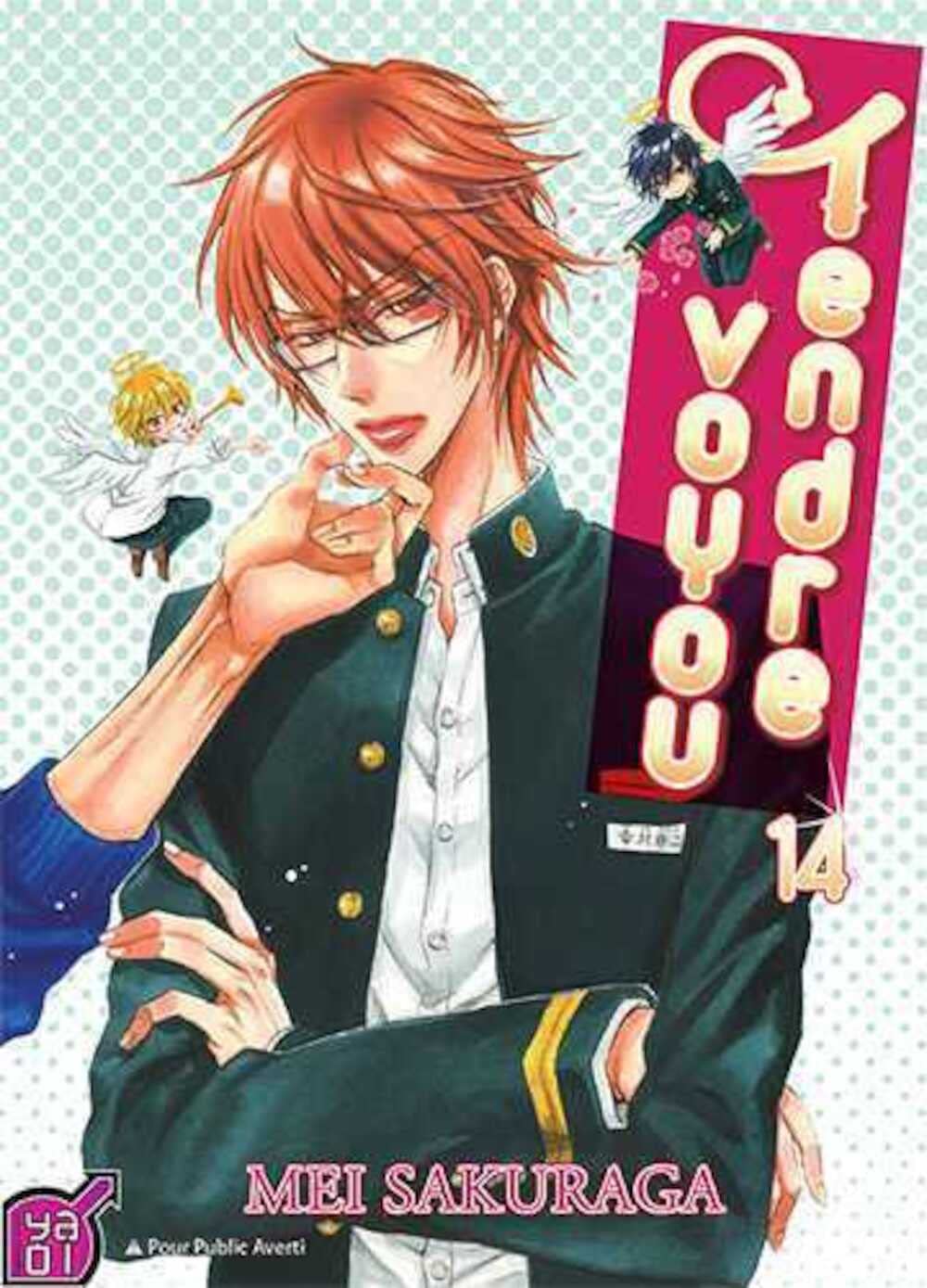 Tendre voyou T14 book