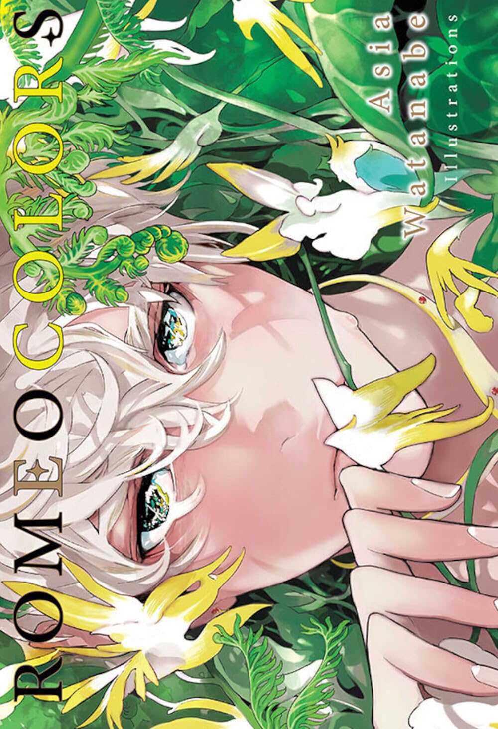 Romeo Colors Artbook book