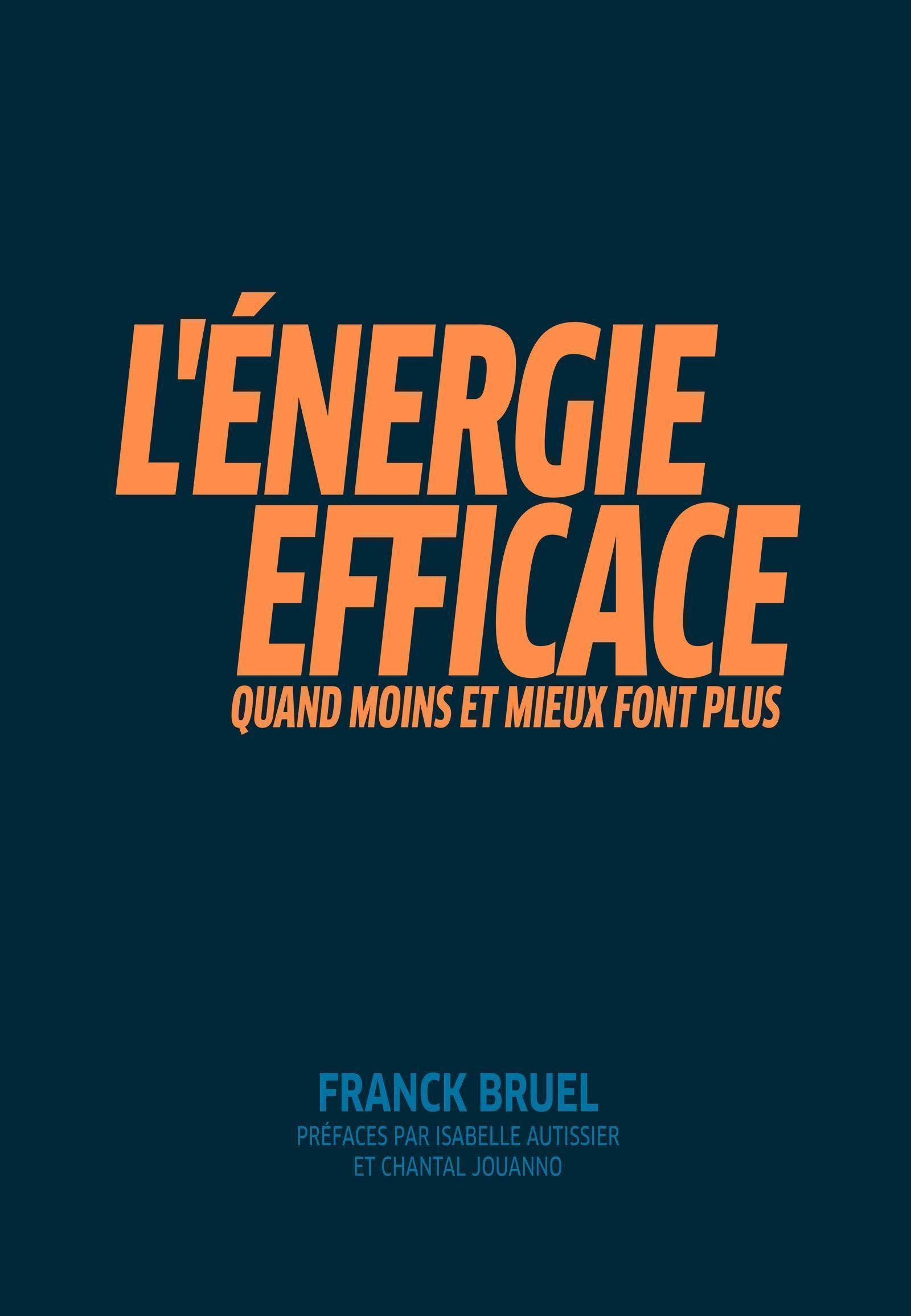 L'Energie efficace: Quand moins et mieux font plus. Préfaces par Isabelle Autissier et Chantal Jouanno Books
