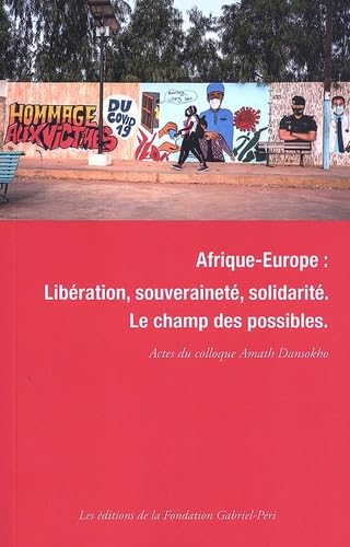Afrique-Europe : libération, souveraineté, solidarité: Le champ des possibles book
