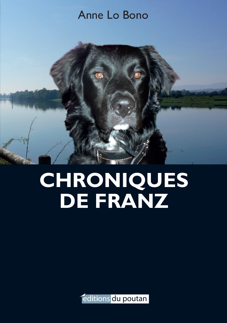 Chroniques de Franz: 2025 book
