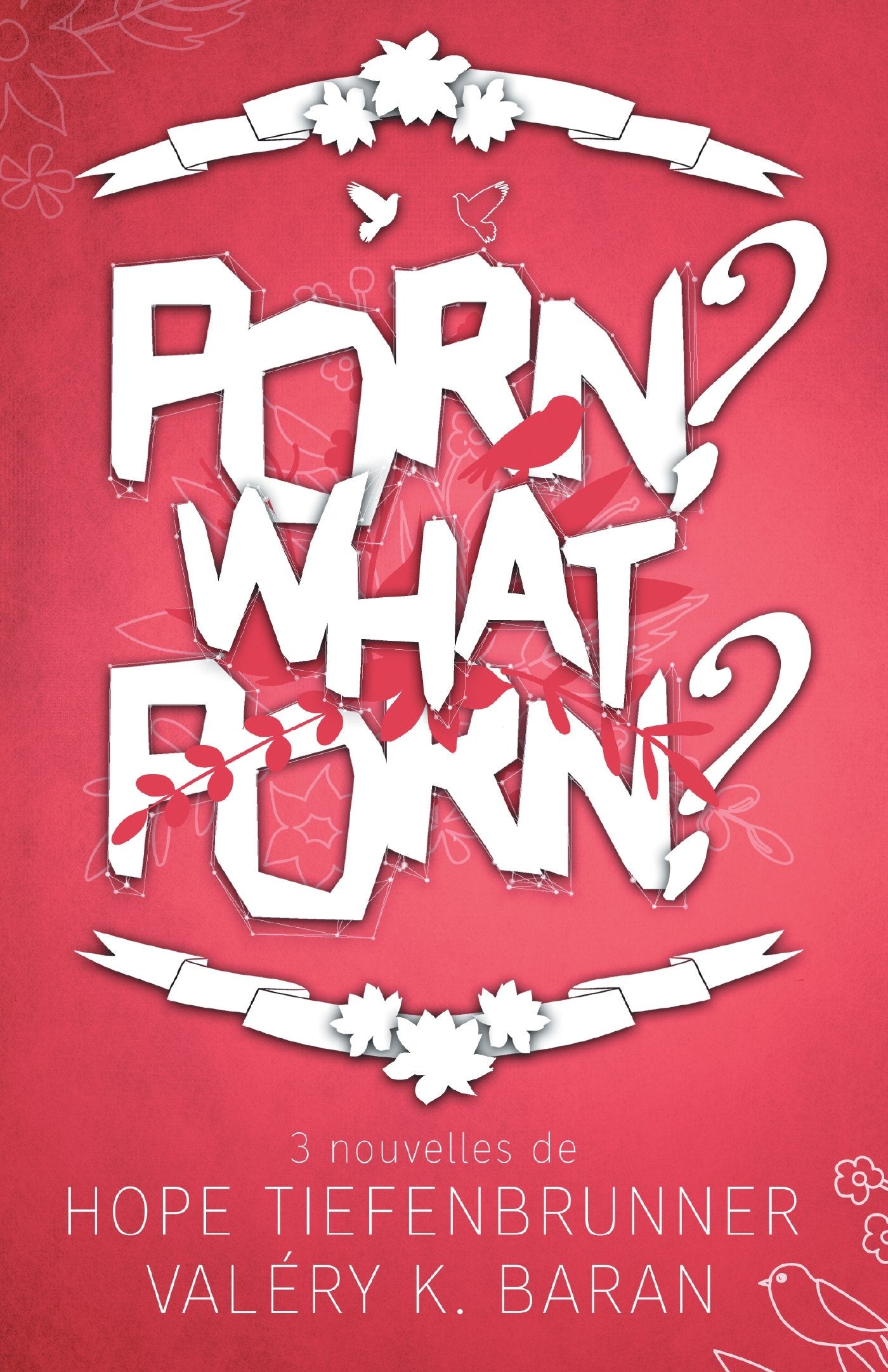 Porn ? What porn ? Contemporary literature