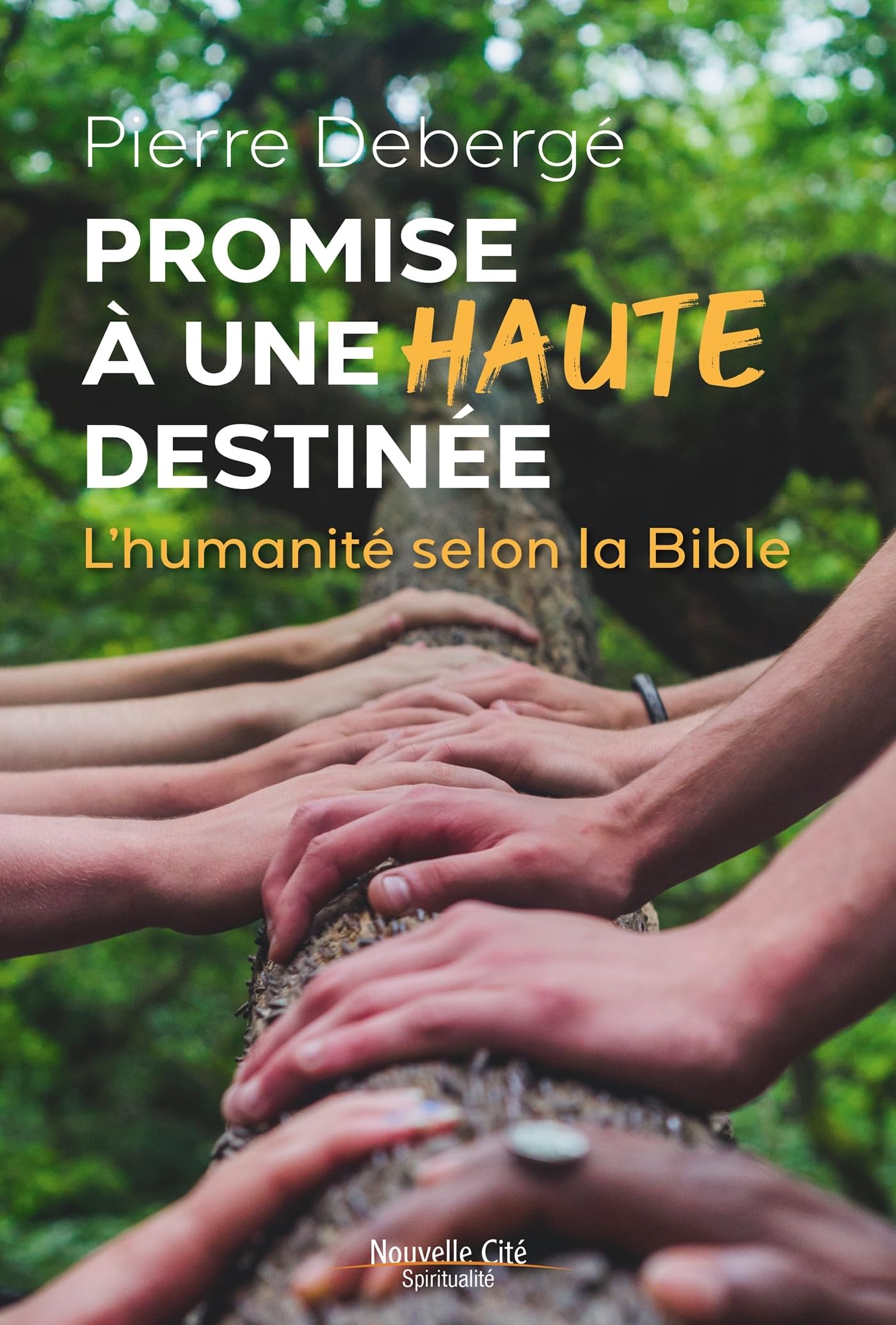 Promise à une haute destinée: L'humanité selon la Bible Religion & Esotericism