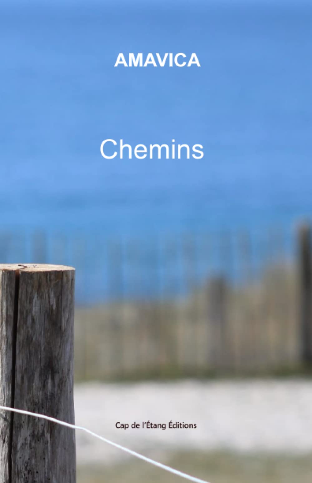 Chemins: Anthologie (Plume d'ivoire) book