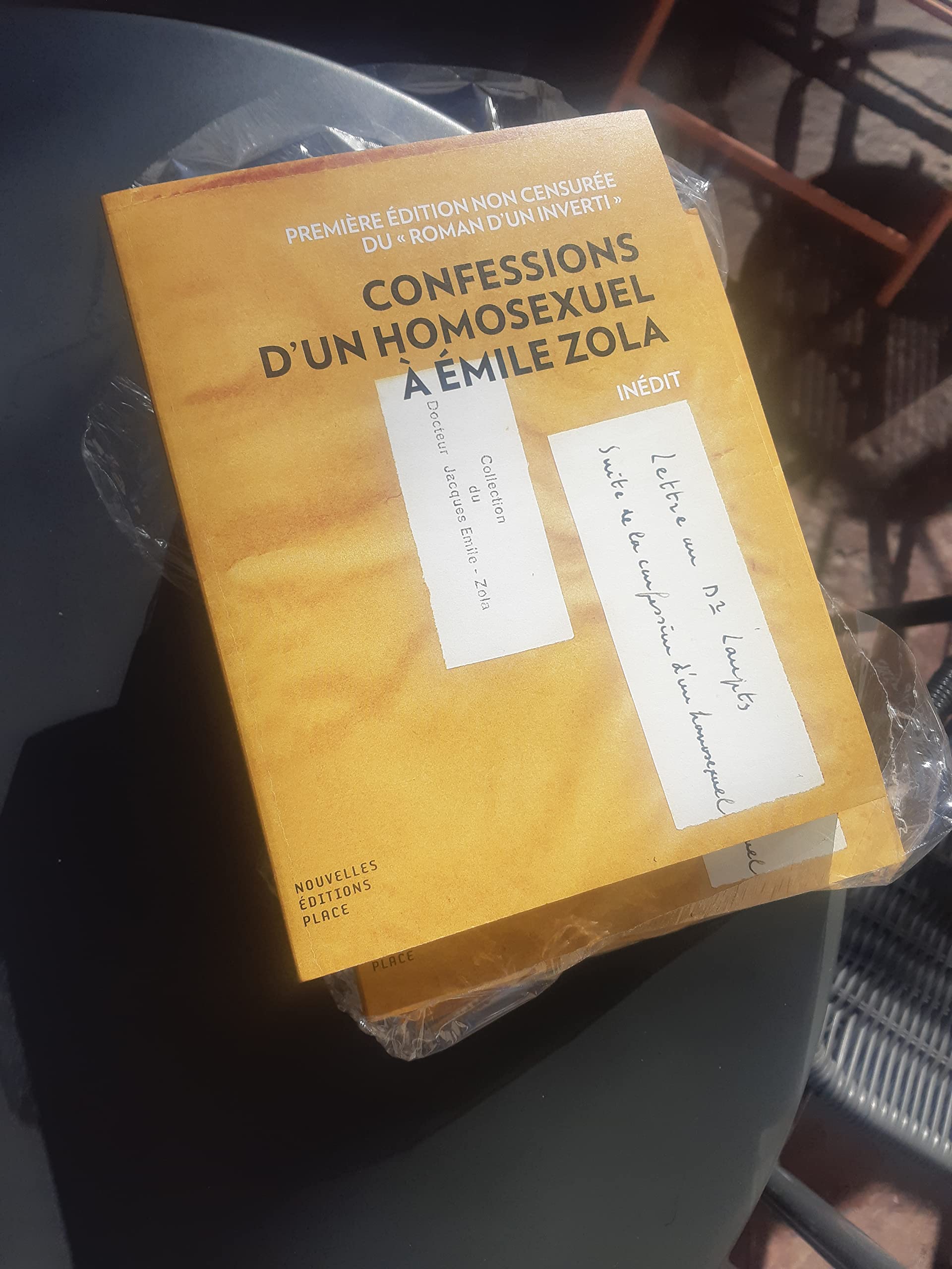 Confessions d'un homosexuel à Émile Zola. Le « Roman d'un inverti » non censuré. Books