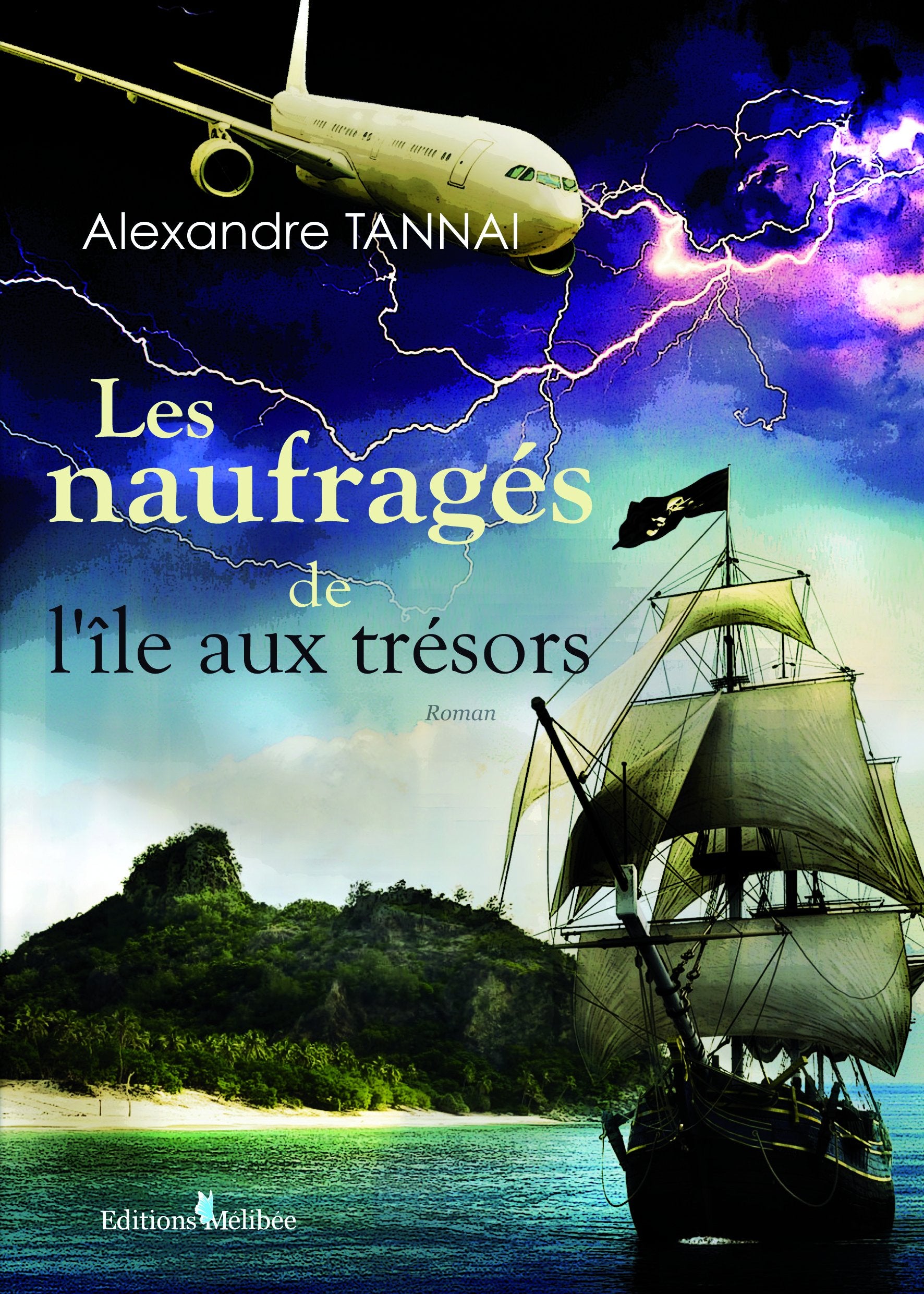 Les naufragés de l'île aux trésors book