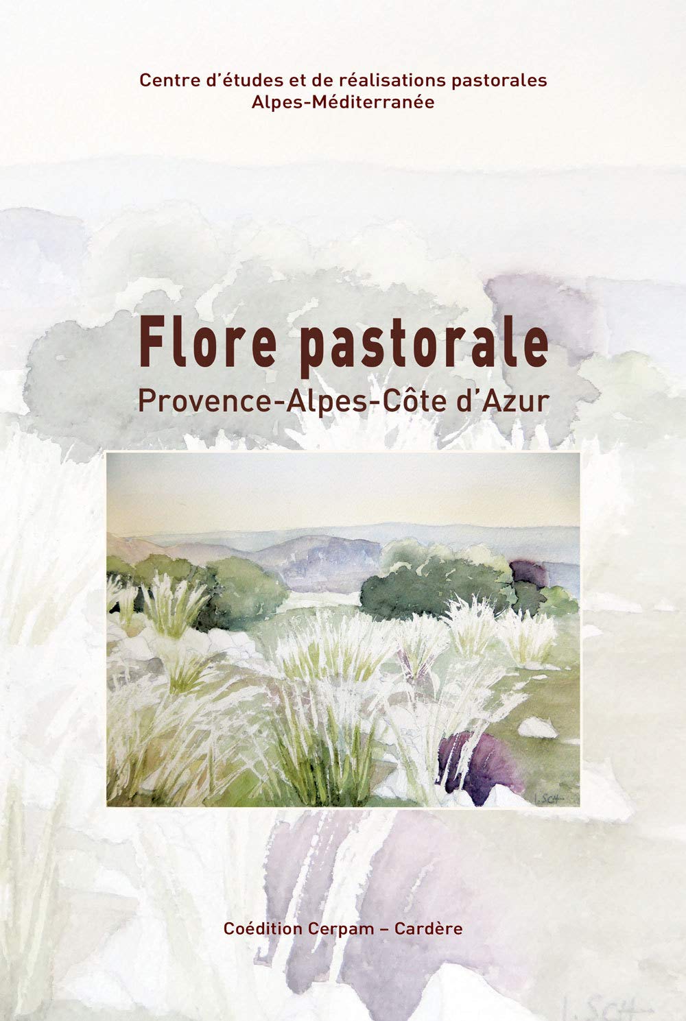 Flore pastorale: 113 plantes à connaître en Provence-Alpes-Côte d'Azur book