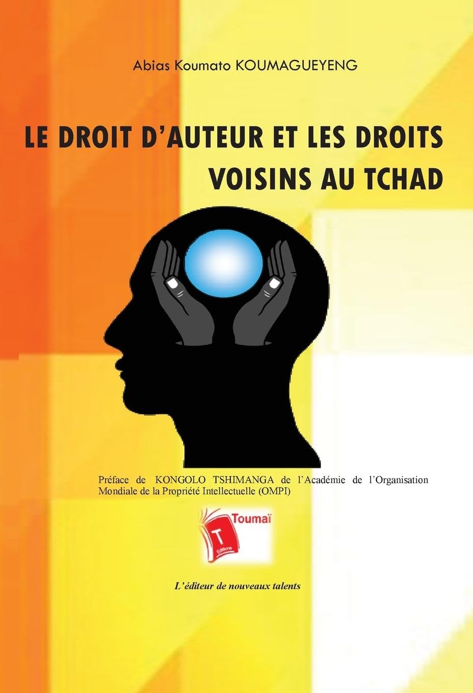 Le droit d'auteur et les droits voisins au Tchad Law
