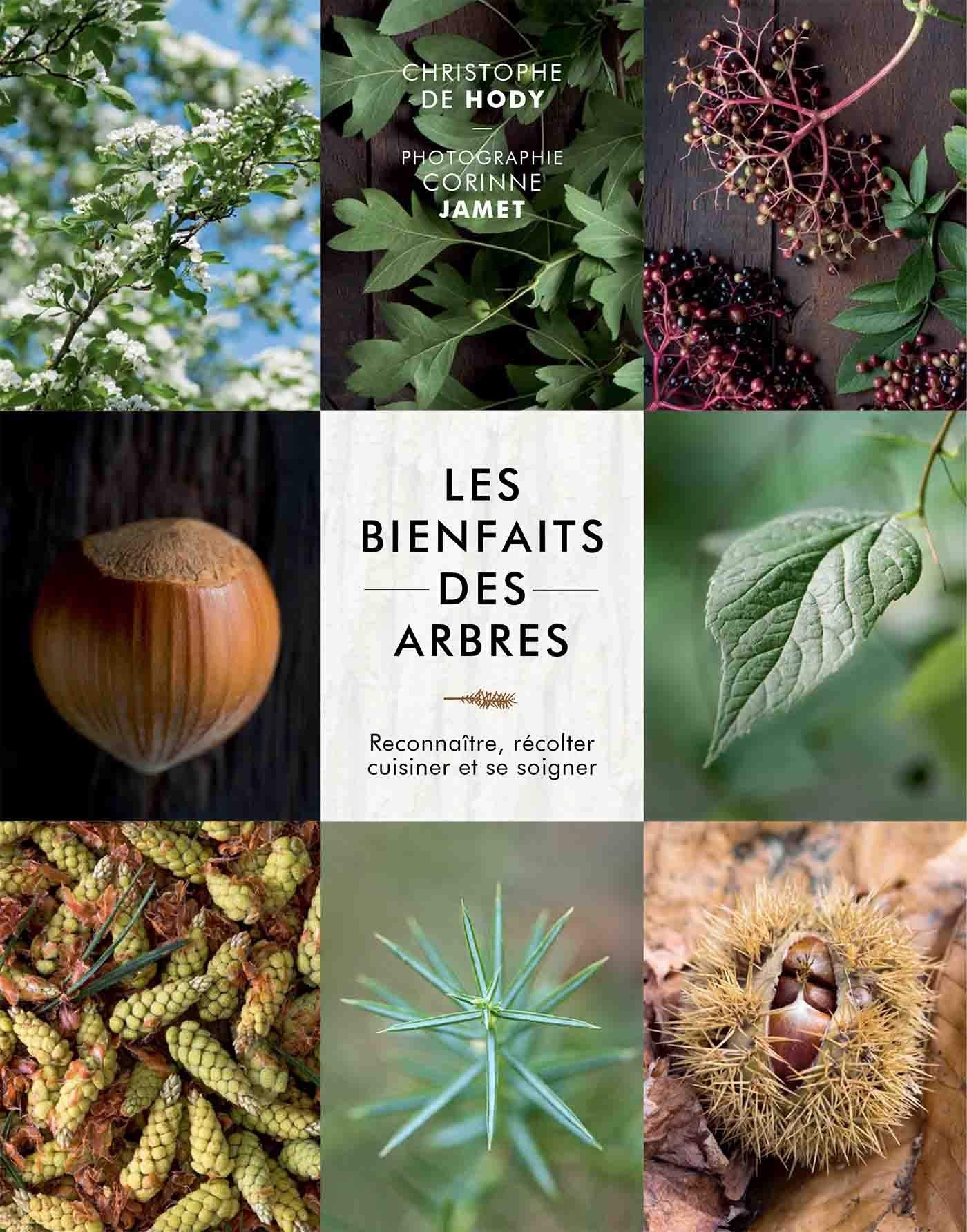 Les bienfaits des arbres: Reconnaître, récolter, cuisiner et se soigner book