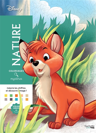 Product Image: Nature : coloriages mystères