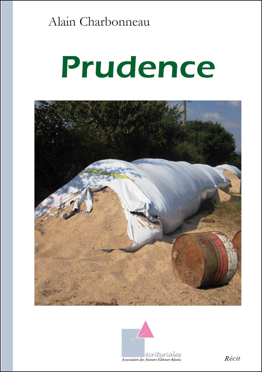 Prudence book