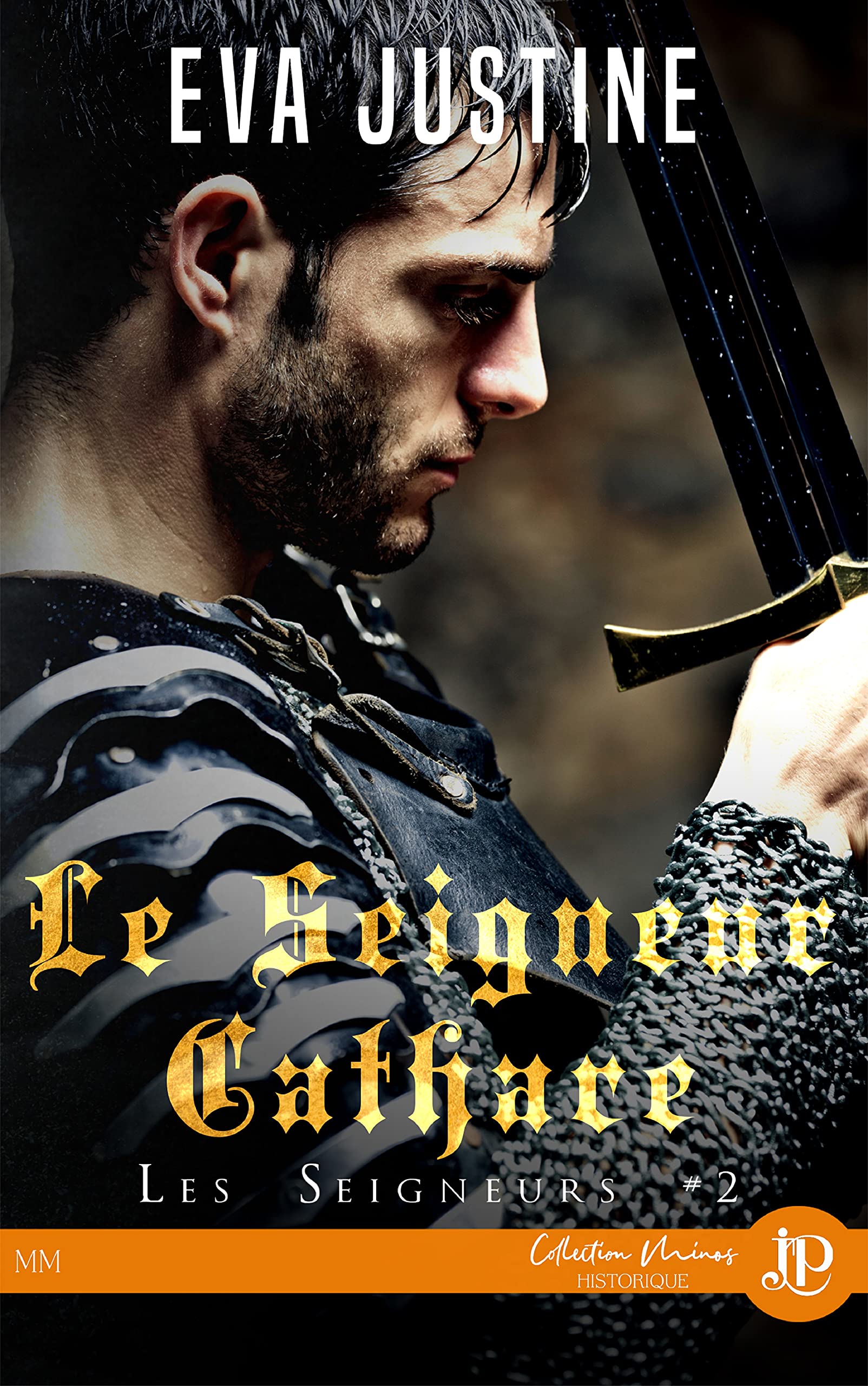 Le seigneur Cathare: Les seigneurs #2 Contemporary literature