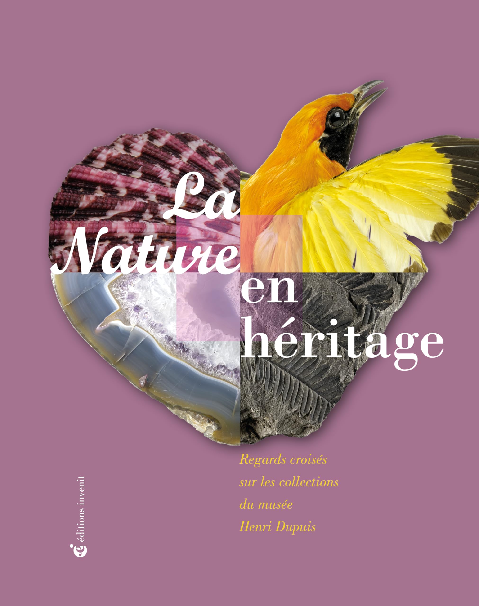 La nature en héritage: Regards croisés sur les collections du musée Henri Dupuis book