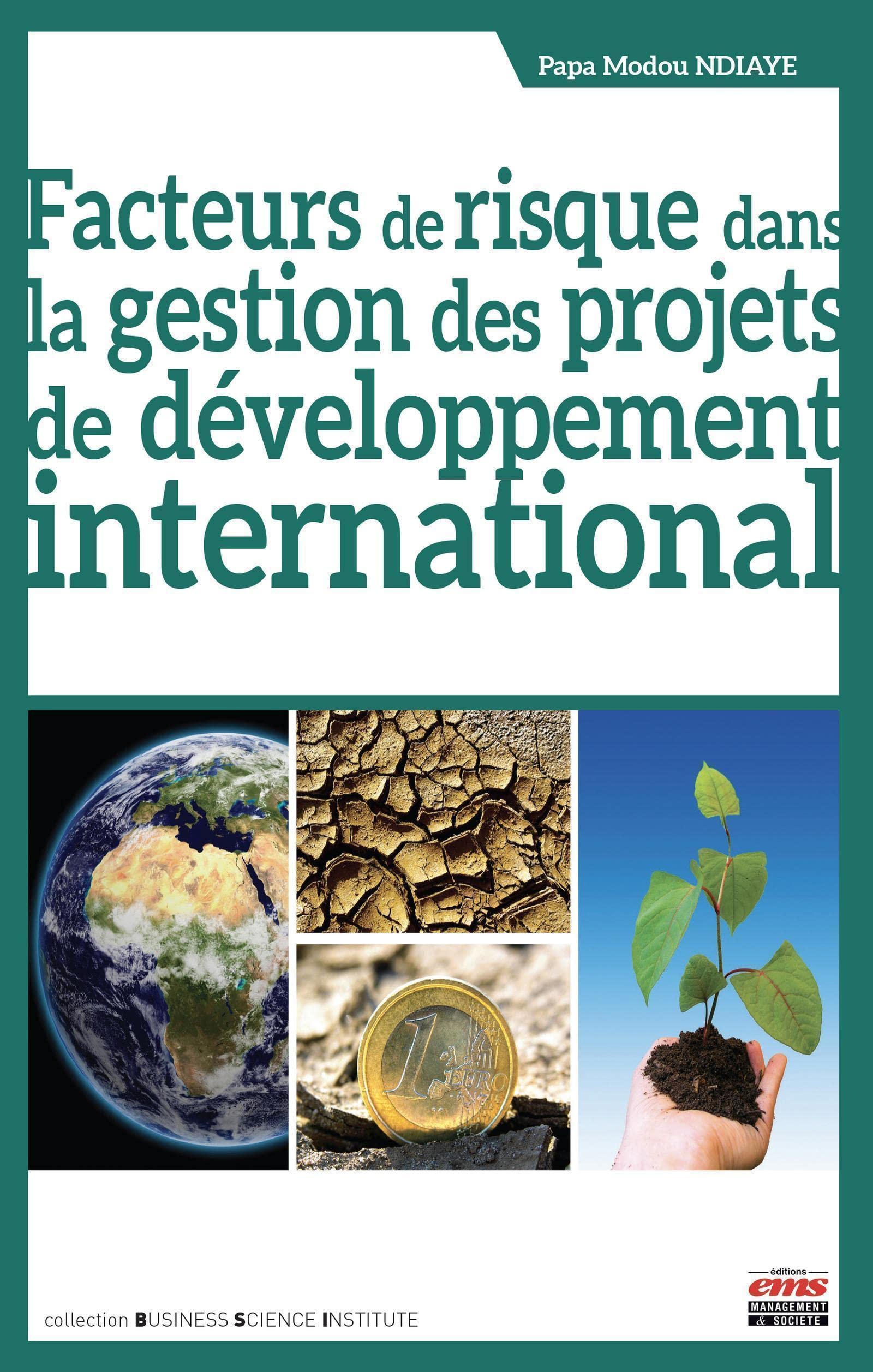 Facteurs de risque dans la gestion des projets de développement international book