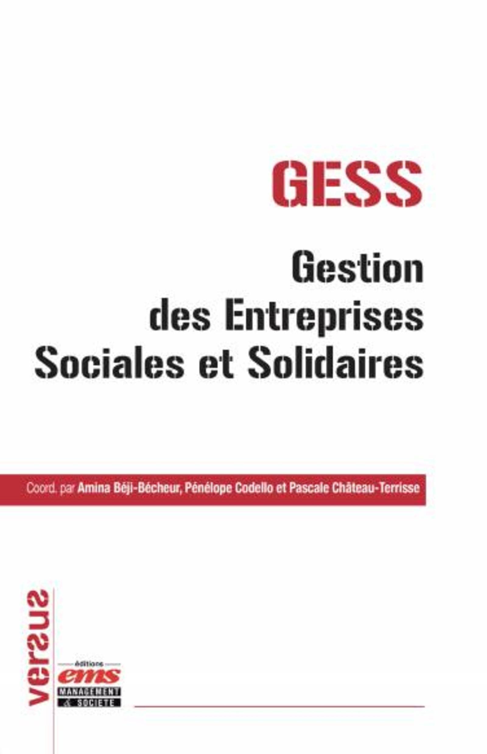 GESS gestion des entreprises sociales et solidaires book