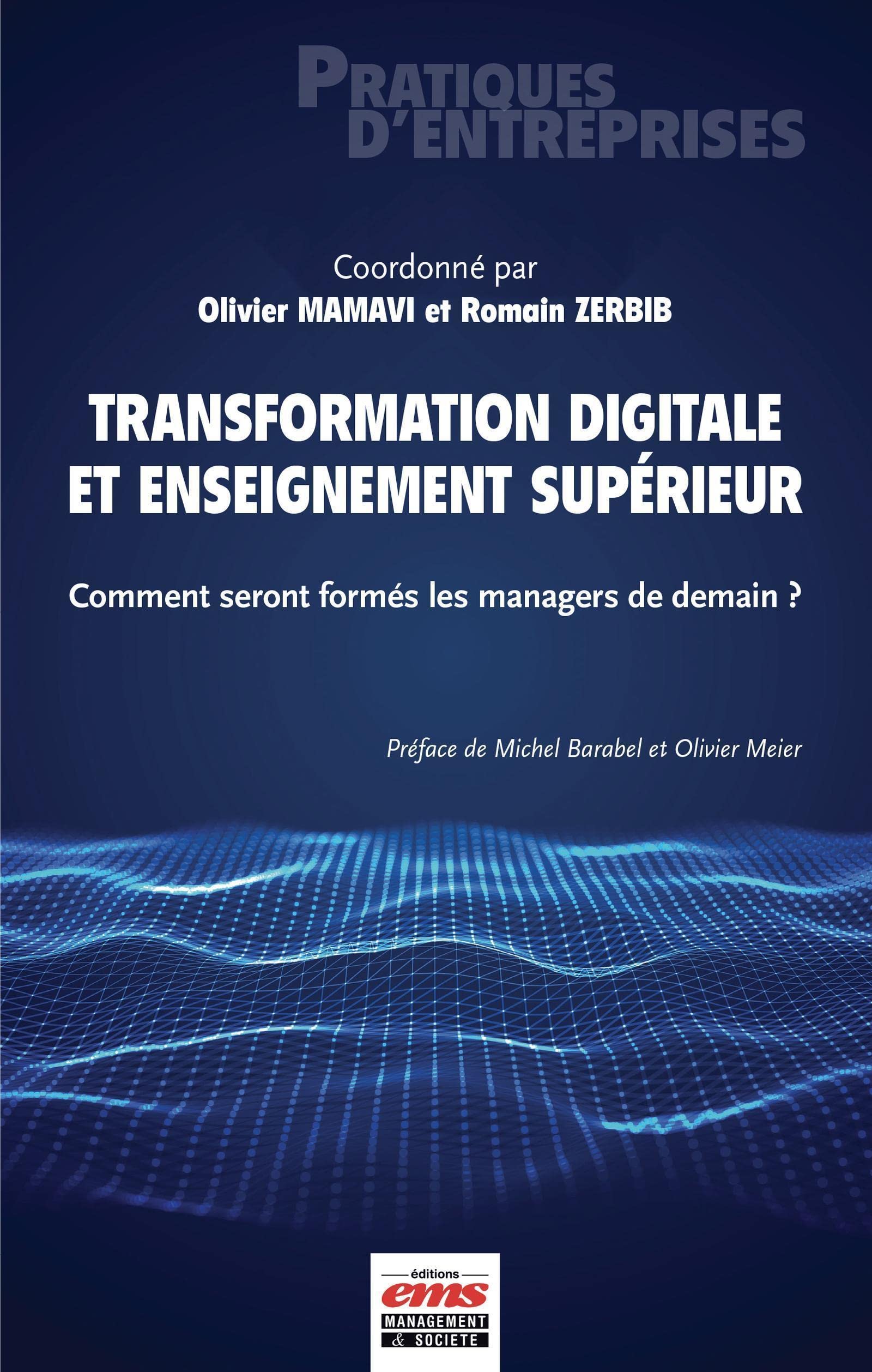 Transformation digitale et enseignement supérieur: Comment seront formés les managers de demain ? Books