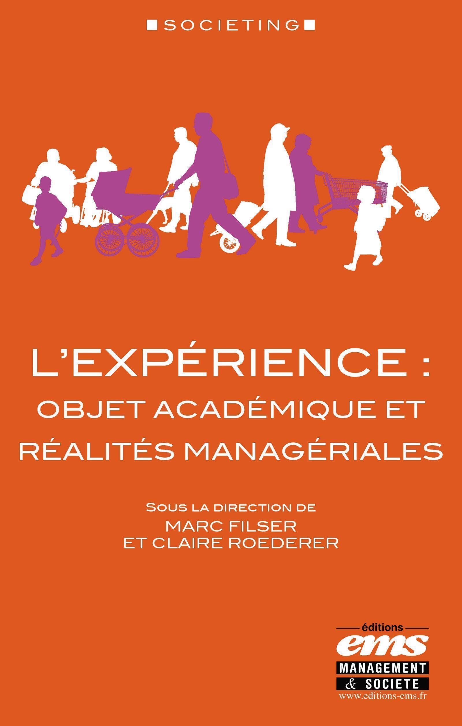 L'expérience : objet académique et réalités managériales book
