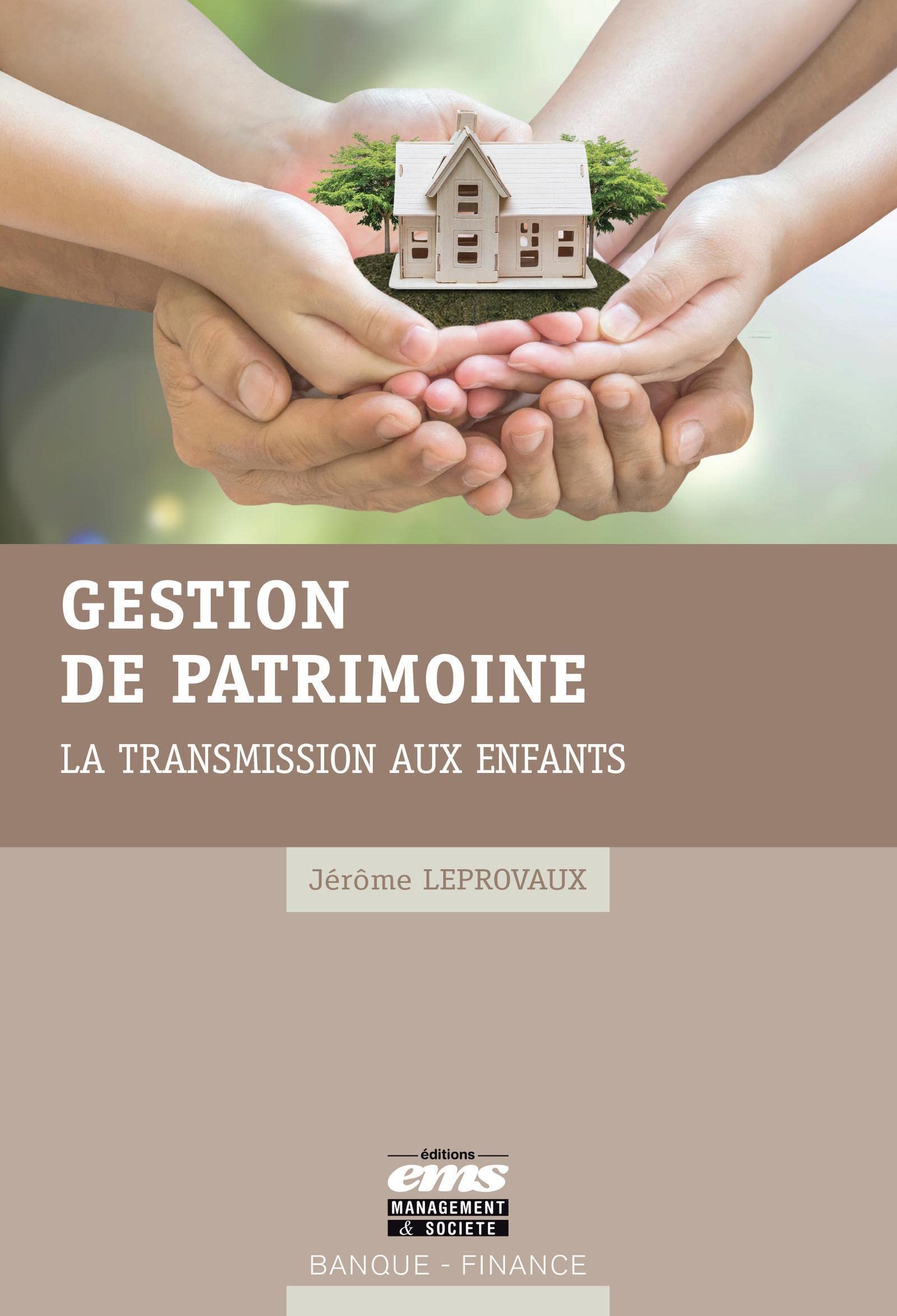 Gestion de patrimoine: La transmission aux enfants book