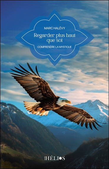 Regarder plus haut que soi : comprendre la mystique book
