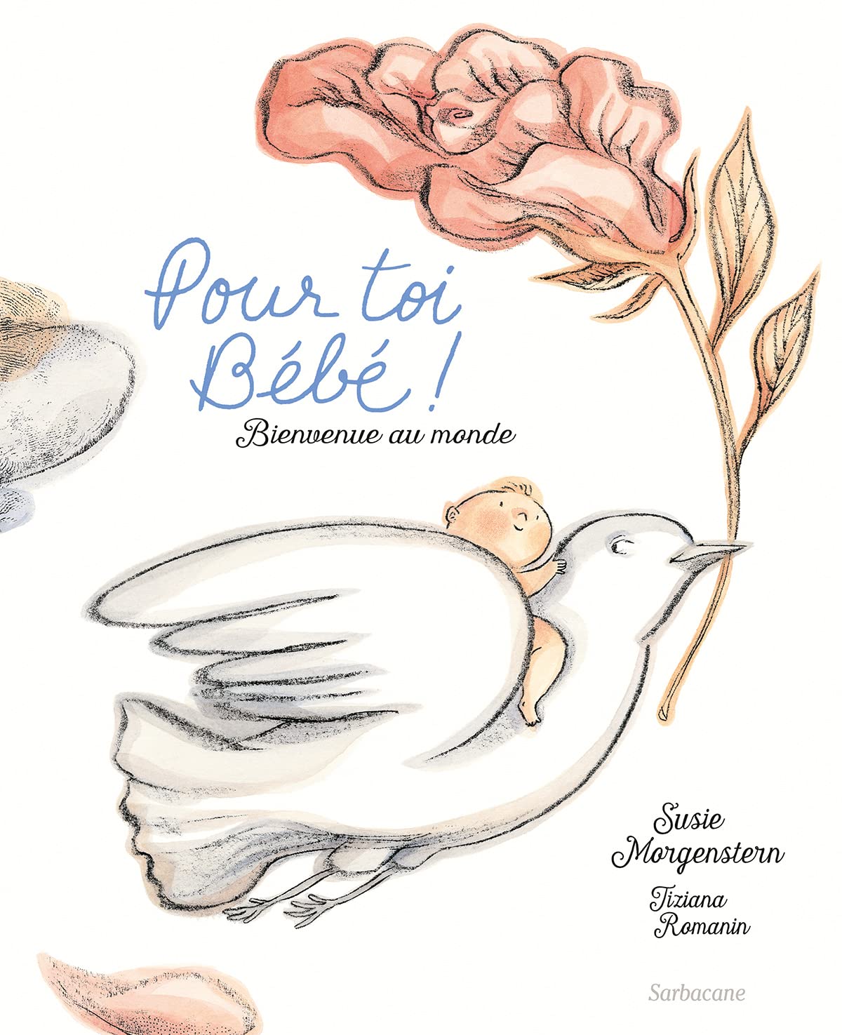 Pour toi bébé !: Bienvenue au monde Children's books