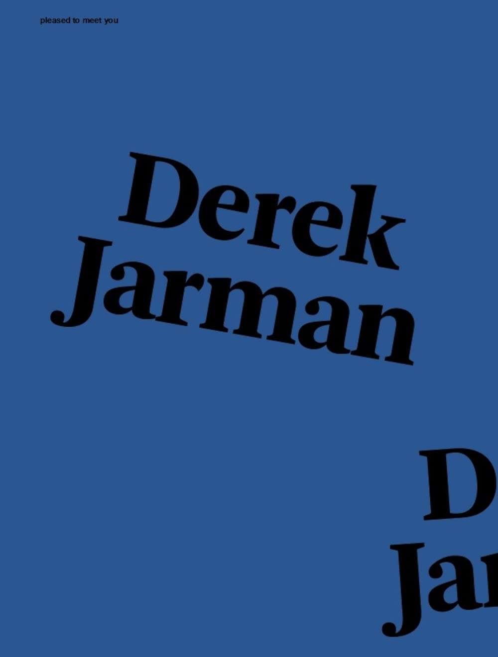 Pleased to meet you : Derek Jarman Film, Art & Culture