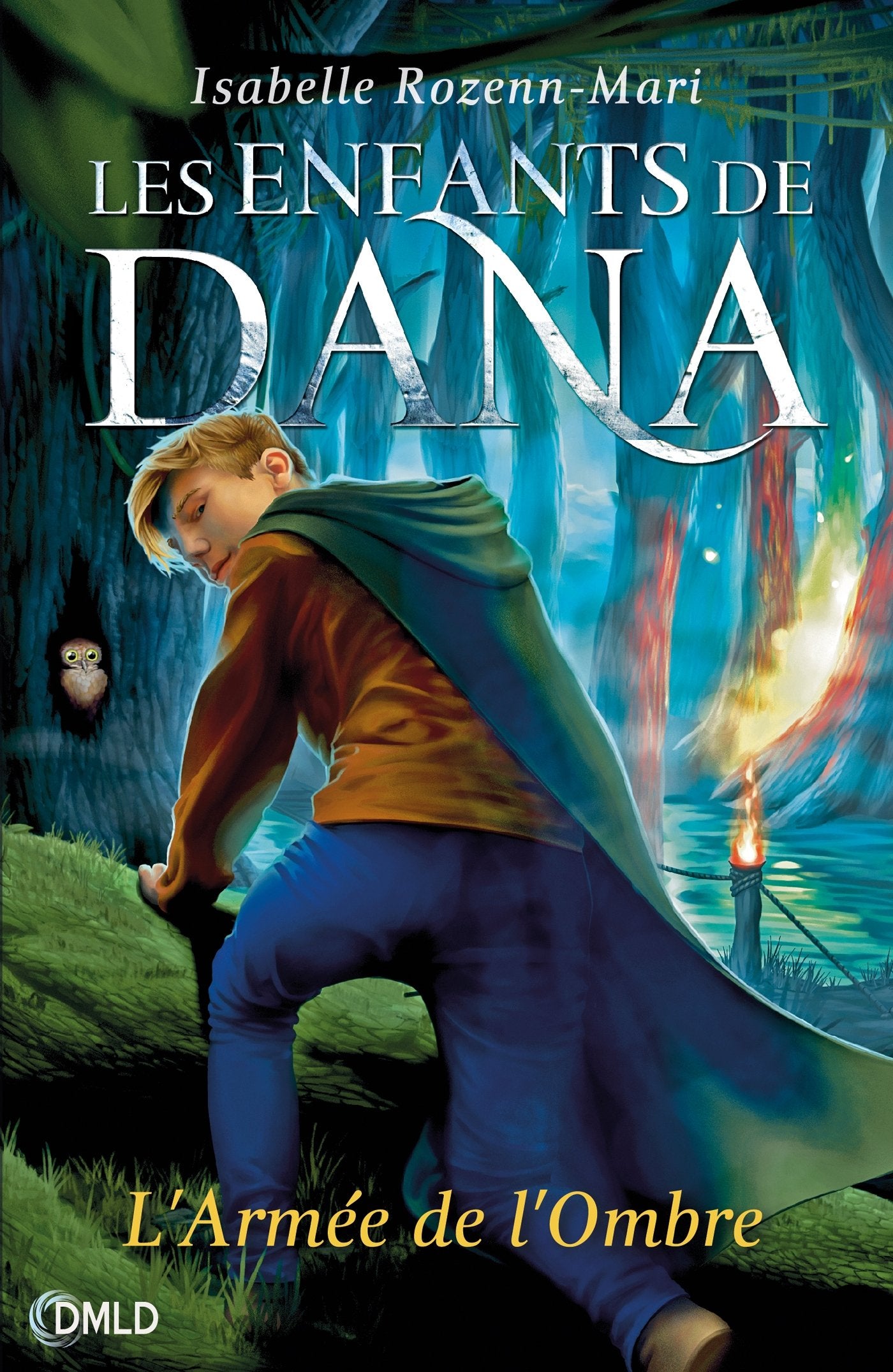 Les enfants de Dana T2: L armée de l ombre book