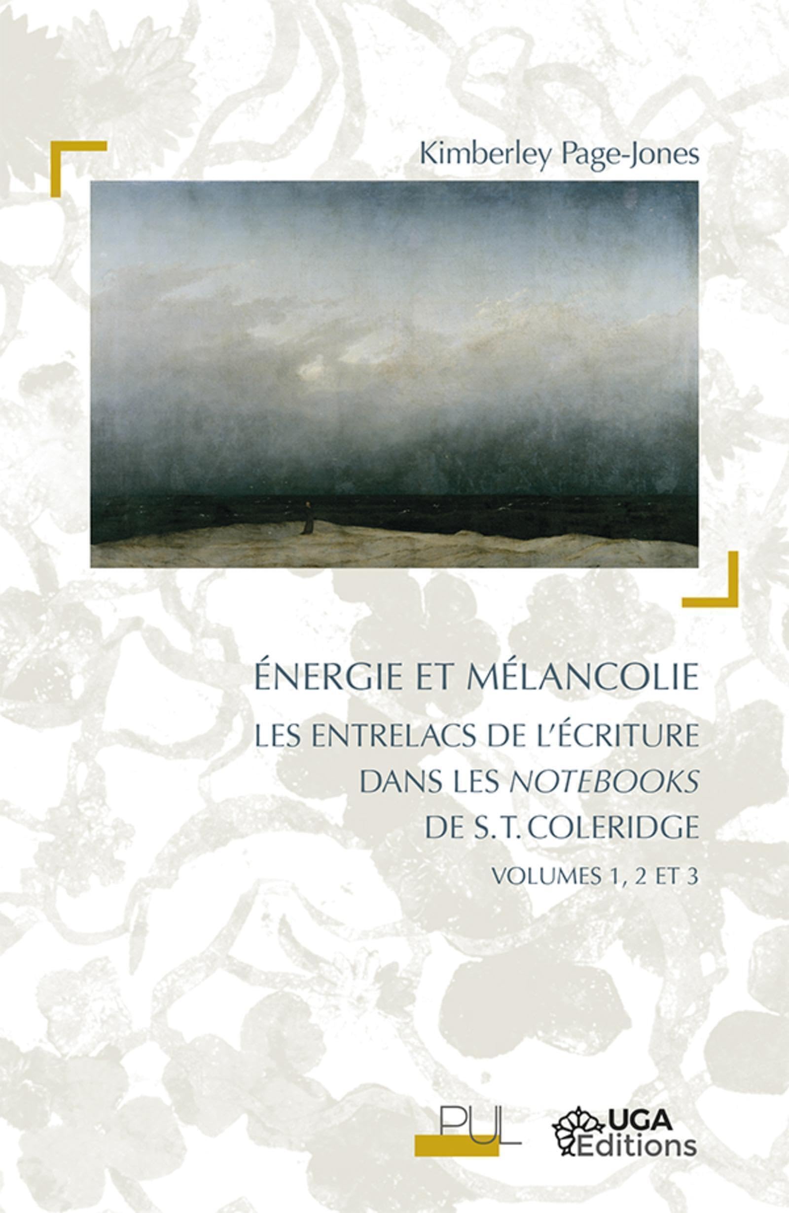 Energie et mélancolie: Les entrelacs de l'écriture dans les Notebooks de S.T. coleridge, volumes 1, 2 et 3 book